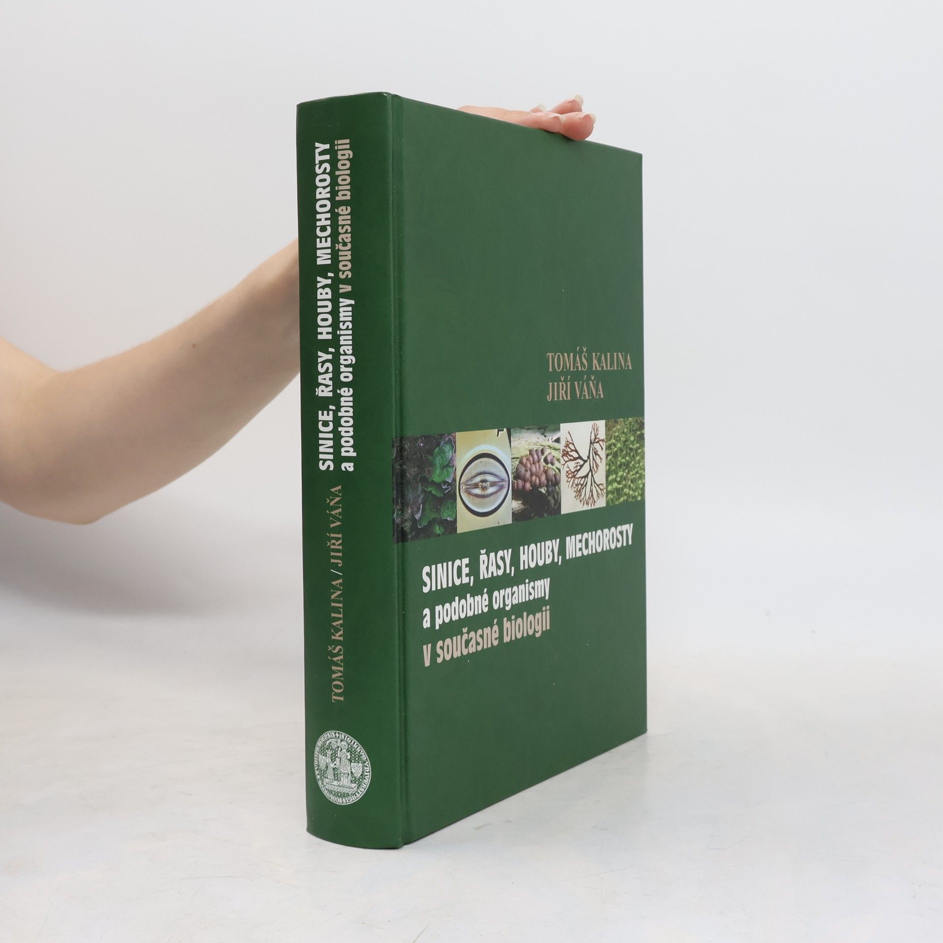 Sinice, řasy, houby, mechorosty a podobné organismy v současné biologii
