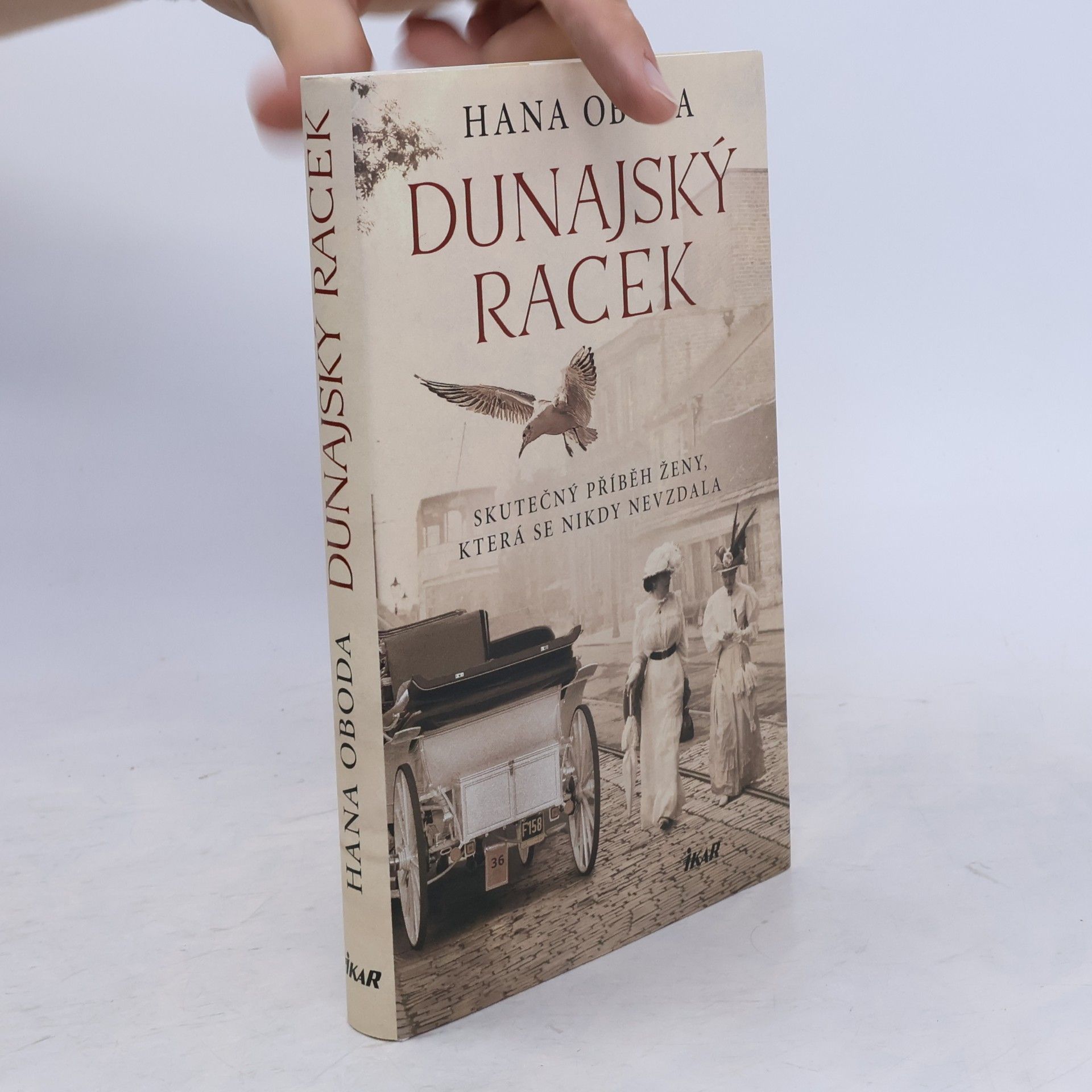 Hana Oboda Dunajský racek