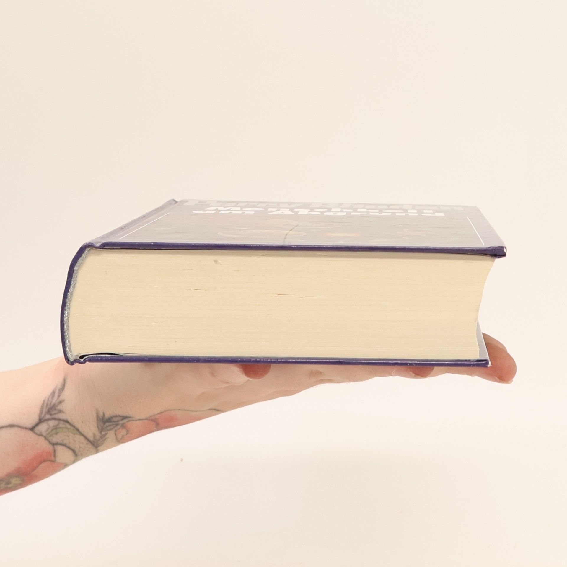 Autorenkollektiv Perry Rhodan - Menschheit am Abgrund