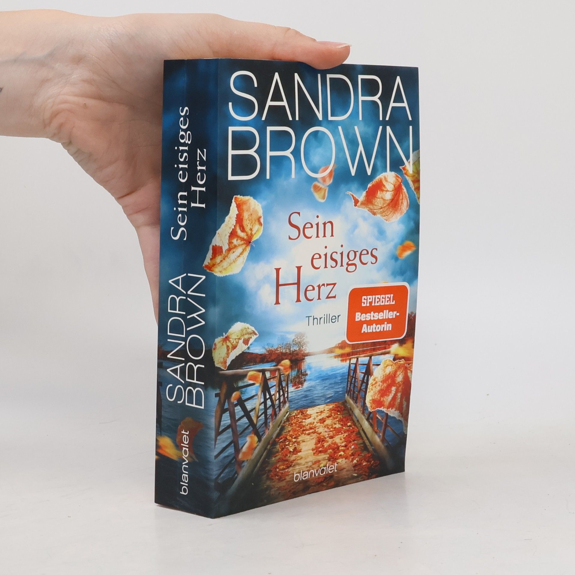 Sandra Brown Sein eisiges Herz