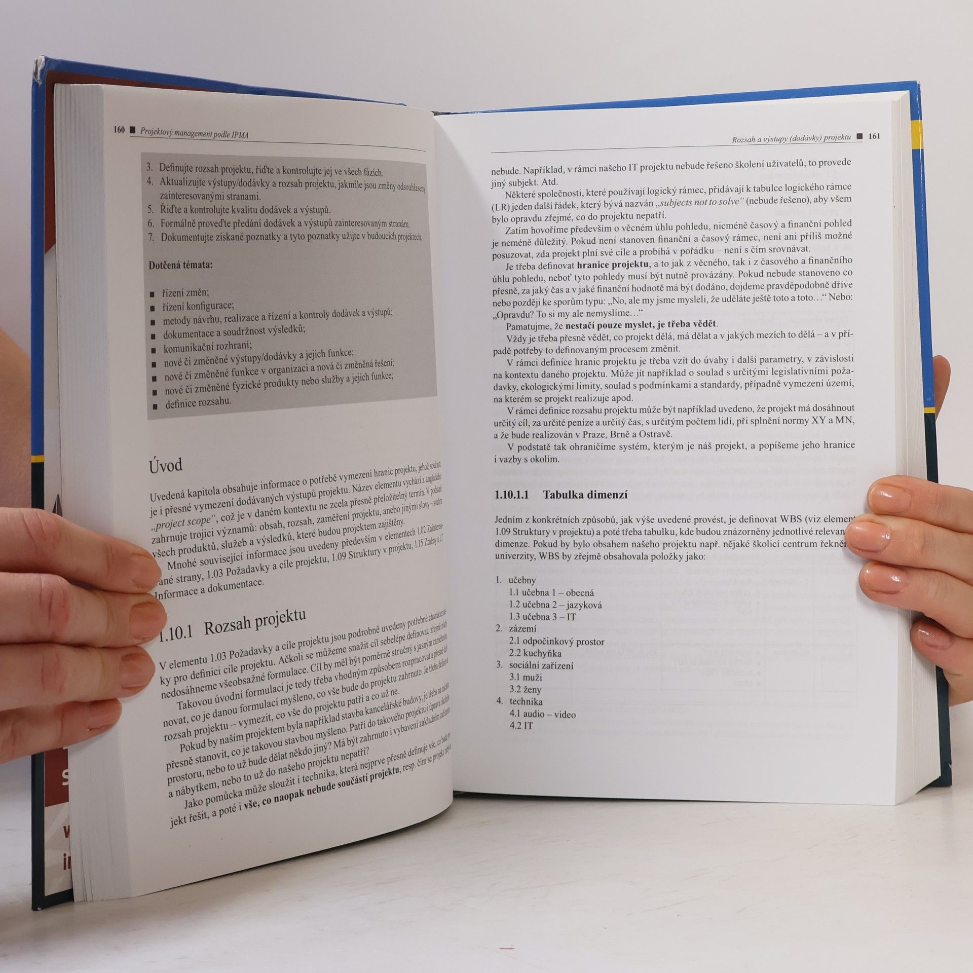 Autorenkollektiv Projektový management podle IPMA