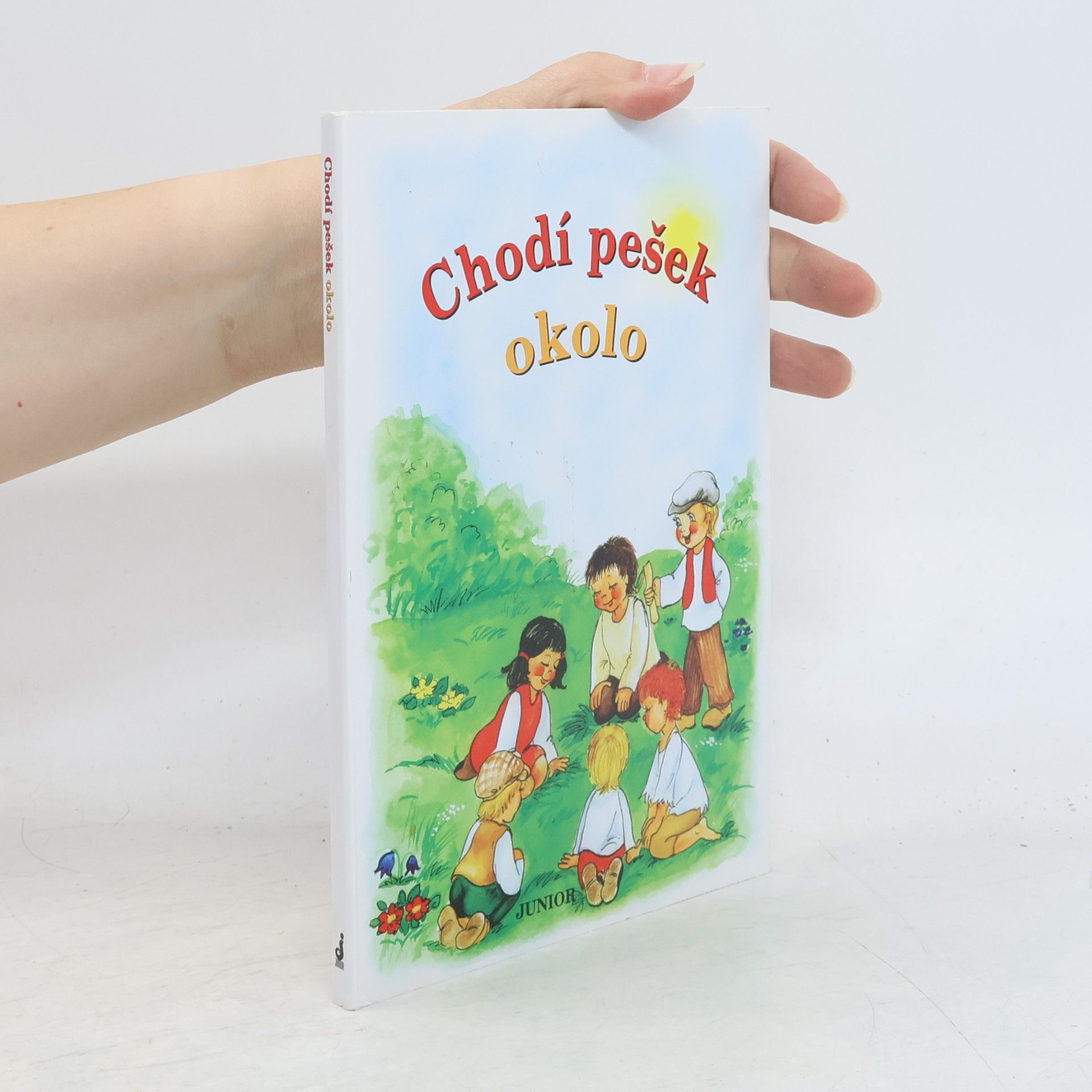 Vladimíra Vopičková Chodí pešek okolo (leporelo)