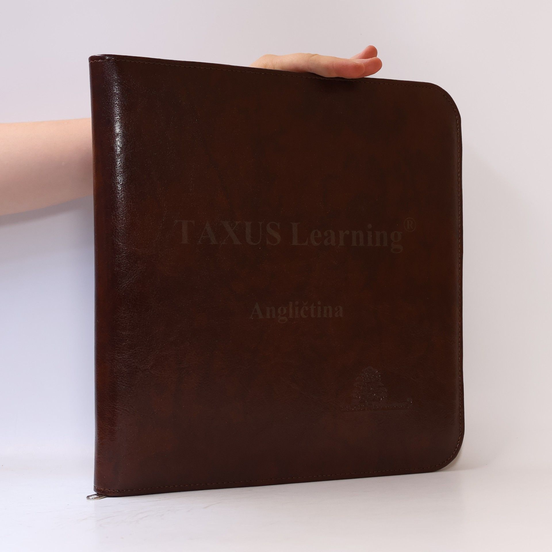 Autorenkollektiv Taxus Learning. Angličtina