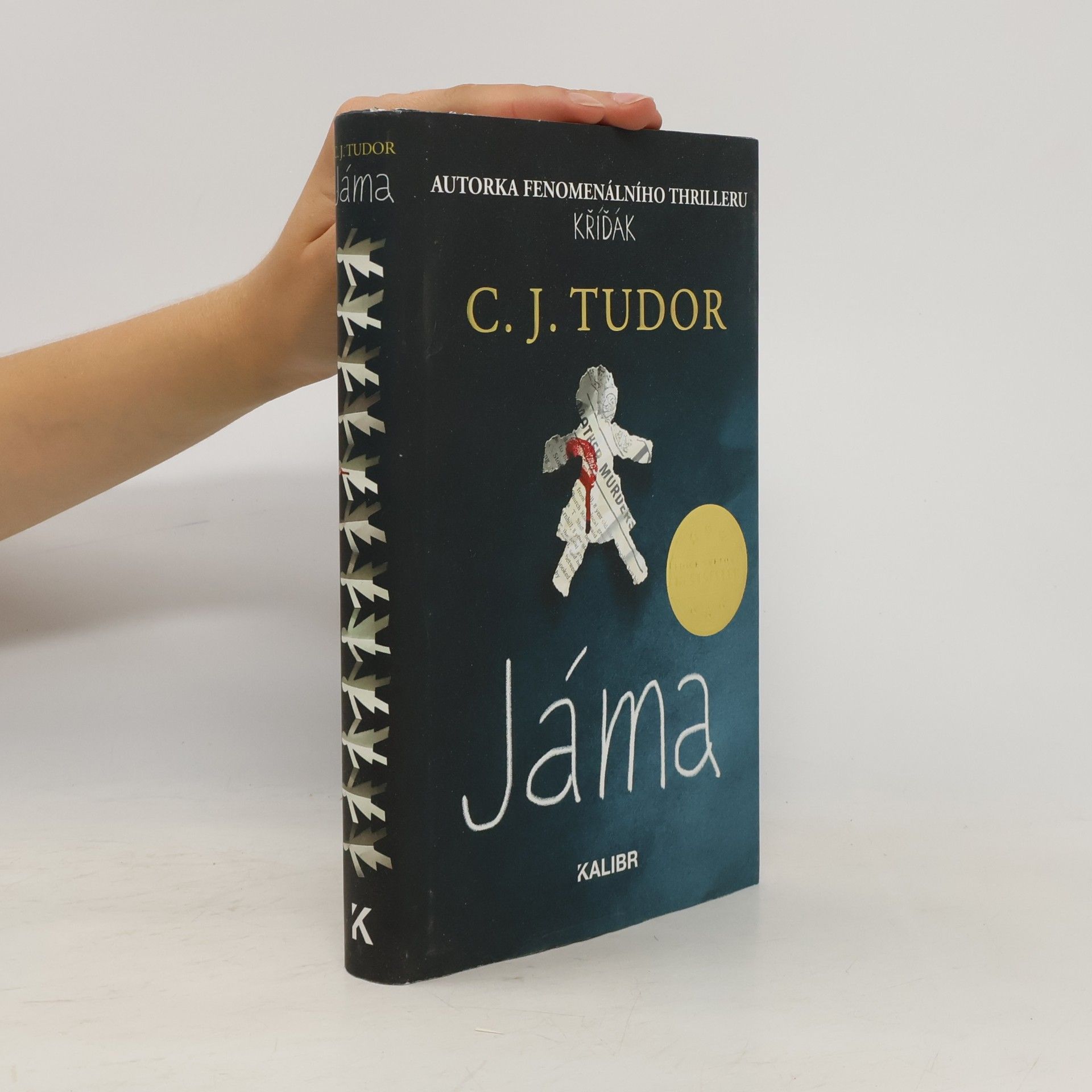 C.J. Tudor Jáma