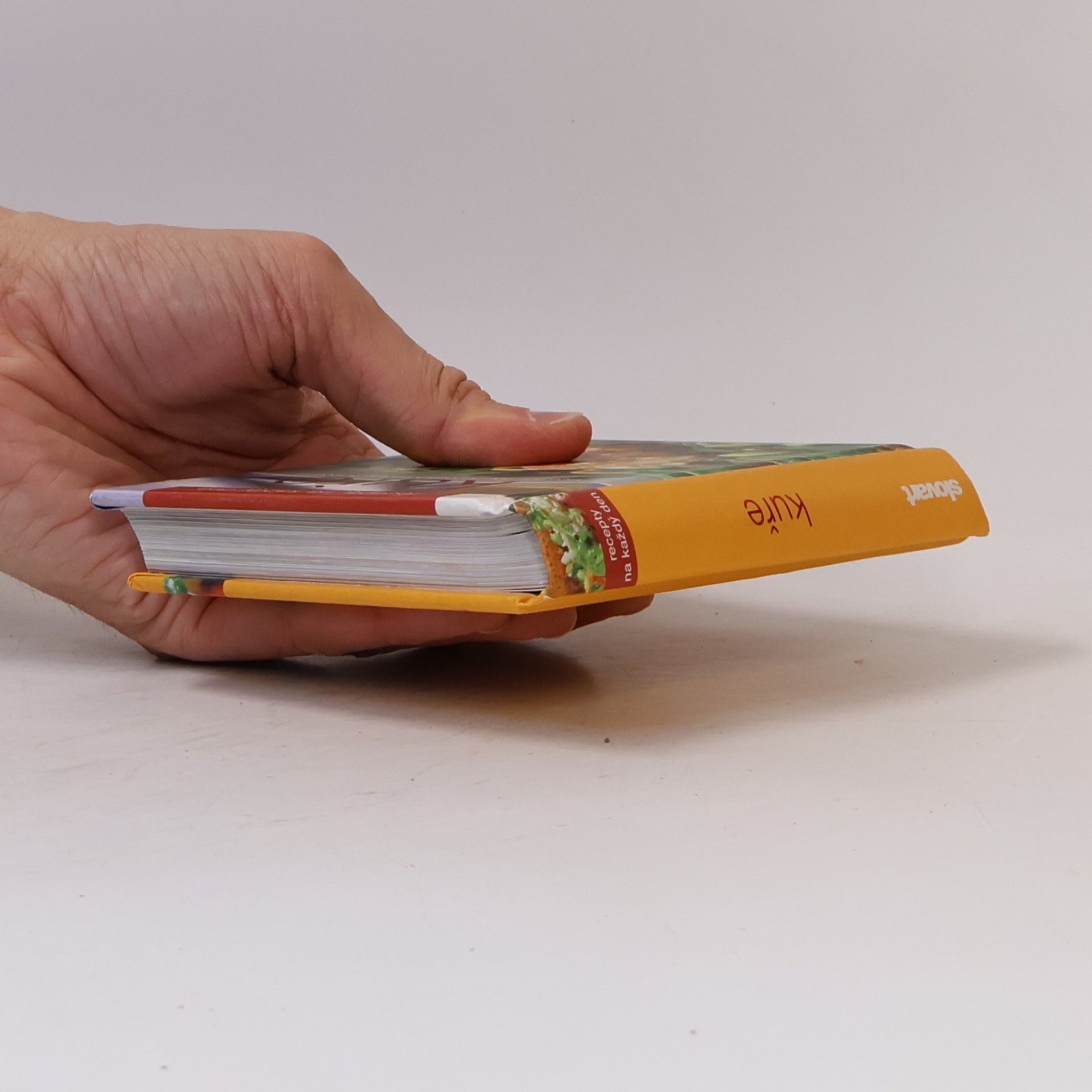 Auteurscollectief Kuře. Více než 100 nepostradatelných receptů