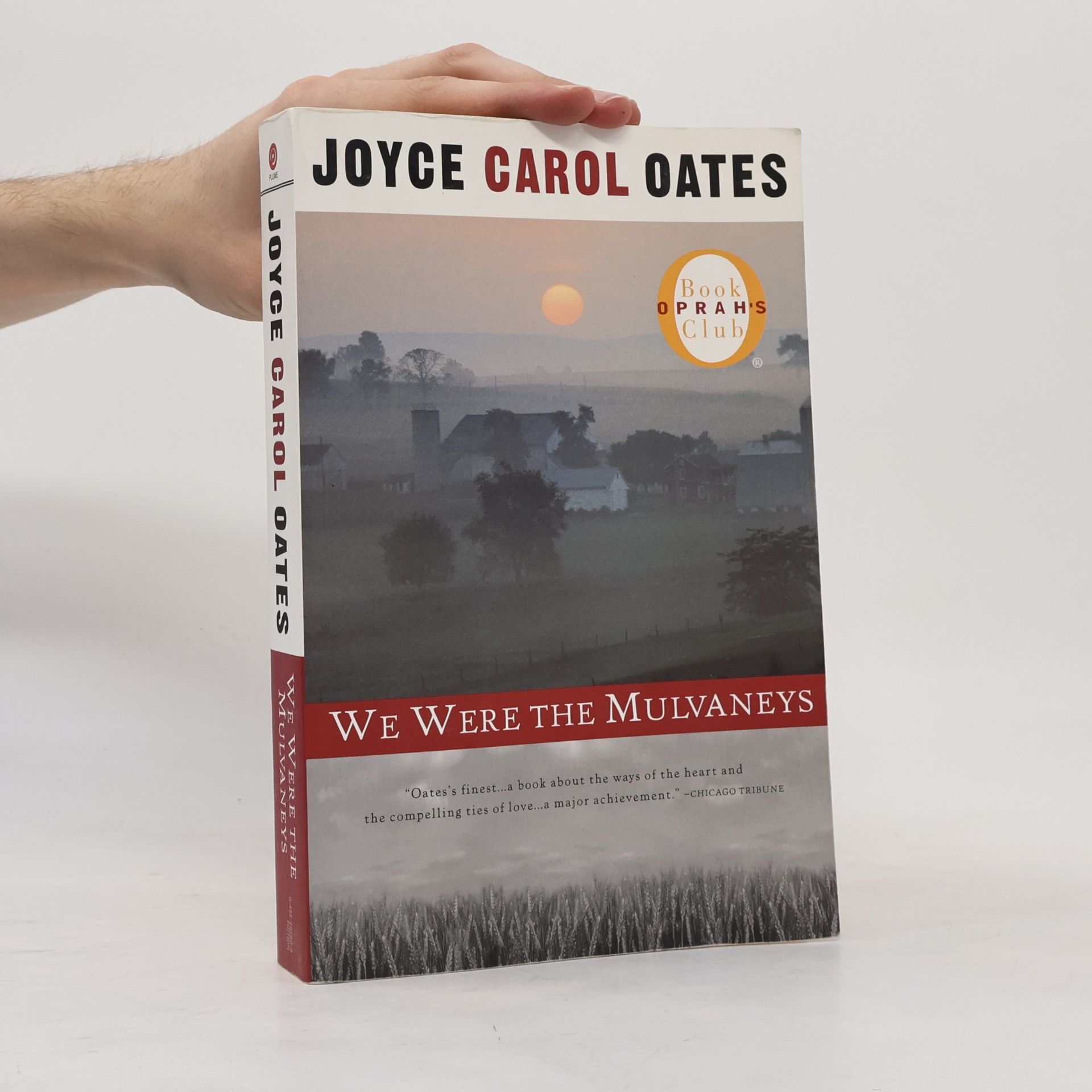 Joyce Carol Oates We were the Mulvaneys
