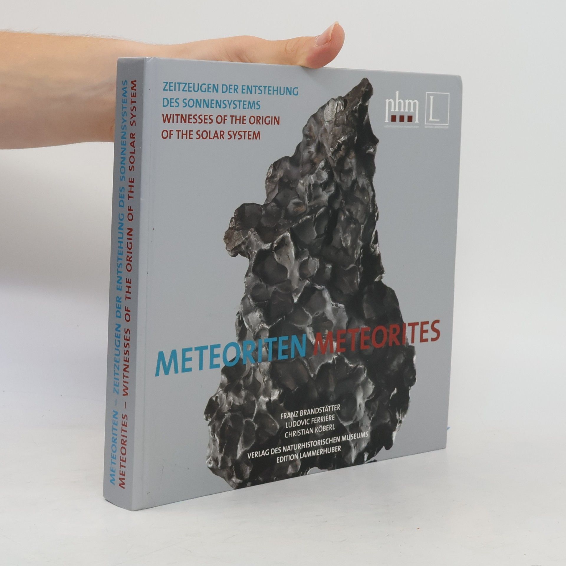 Franz Brandstätter Meteoriten. Meteorites