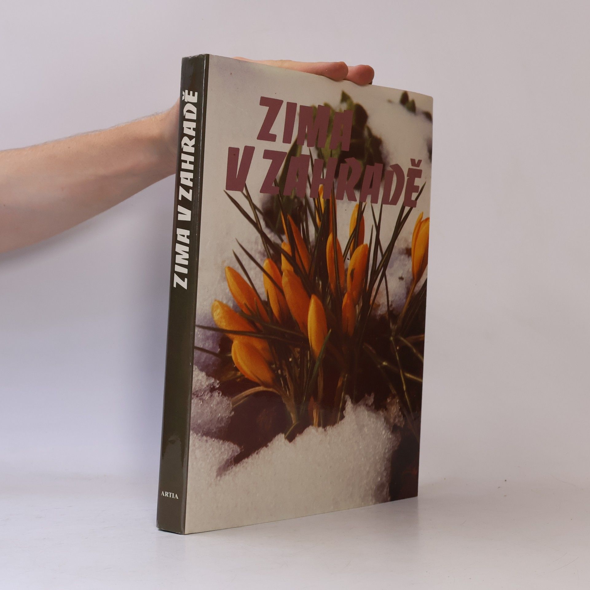 Eva Fürst Zima v zahradě