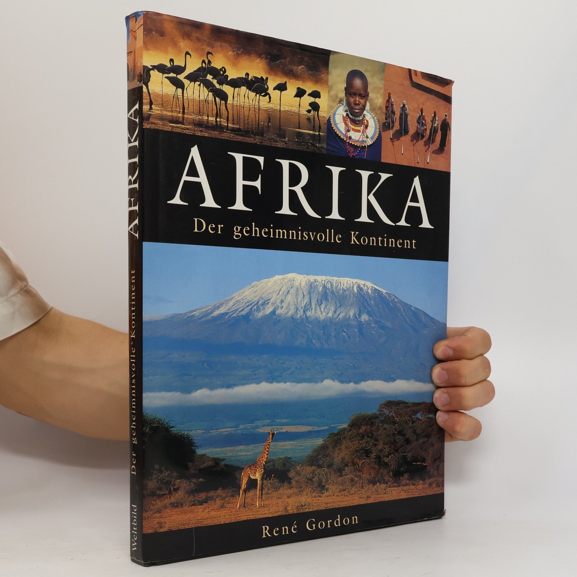 Rene Gordon Afrika