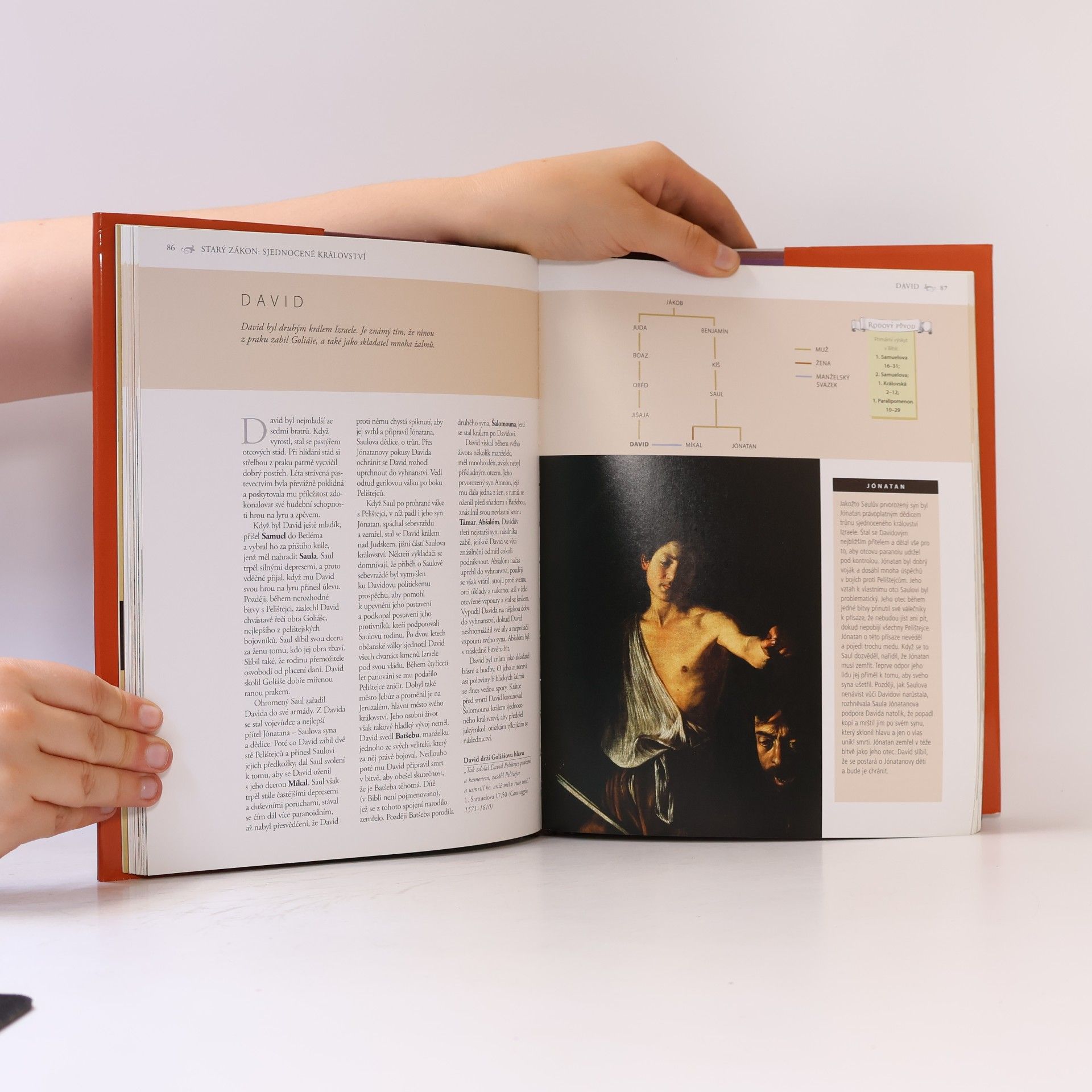 R.P. Nettelhorst Sto postav z Bible