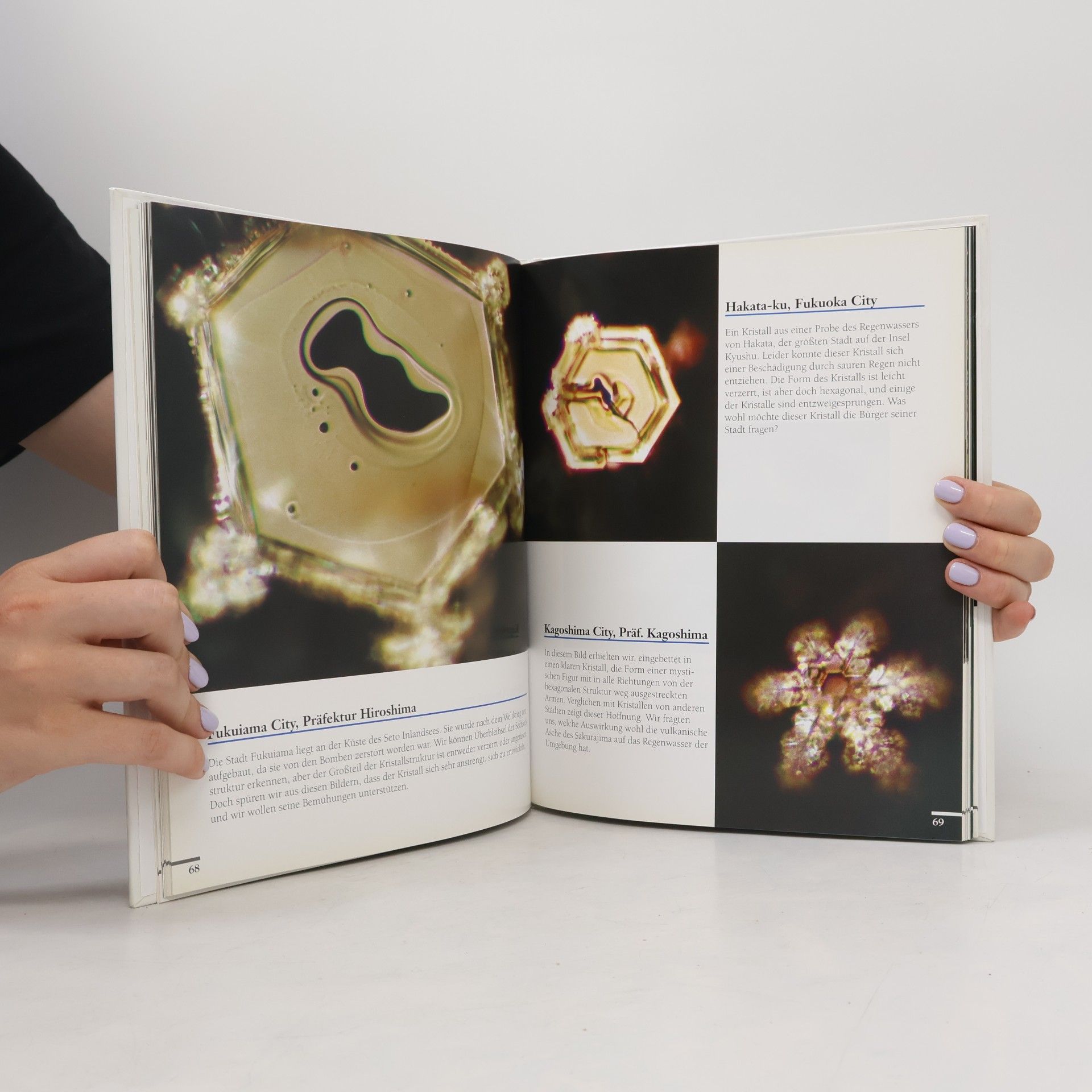 Masaru Emoto Die Botschaft des Wassers