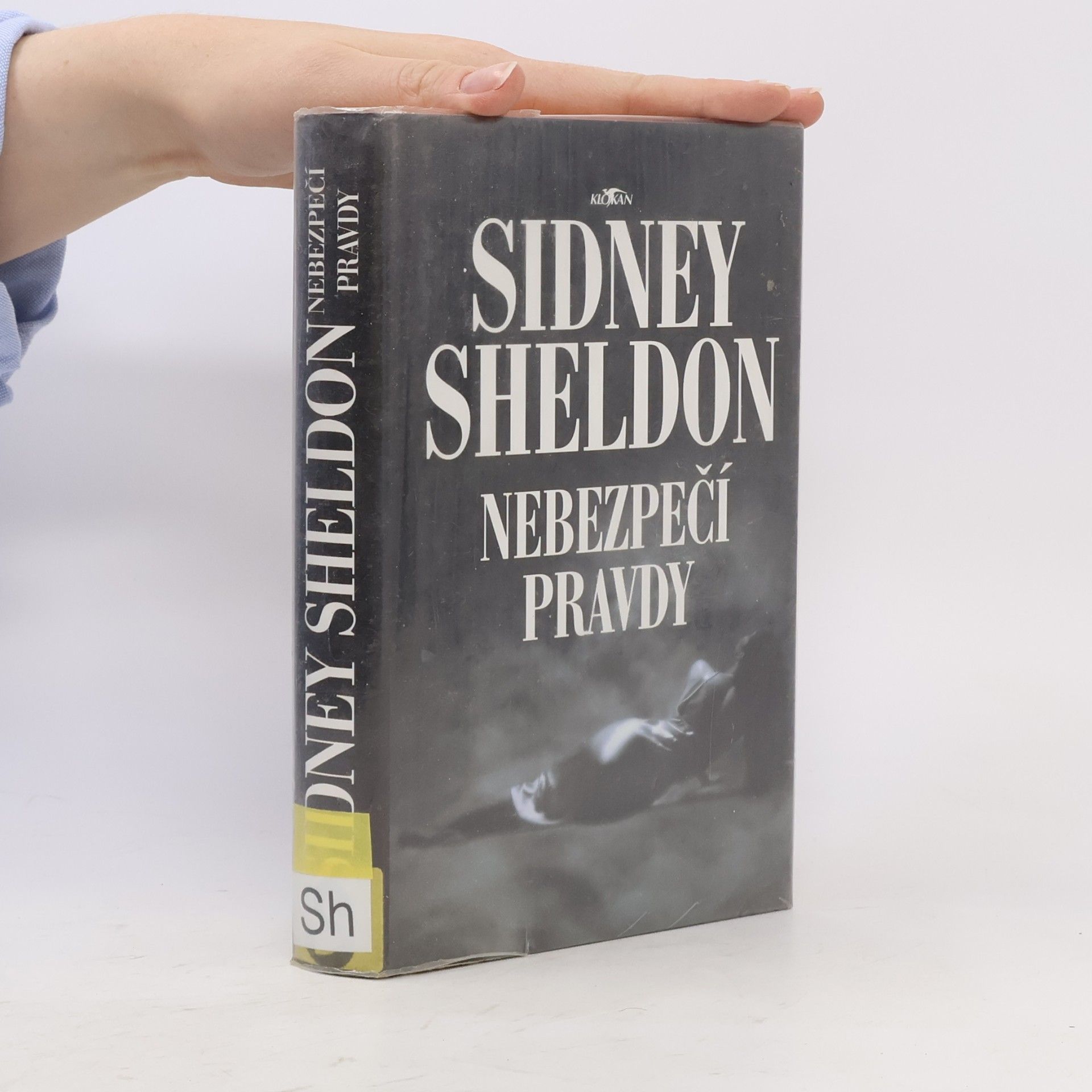 Sidney Sheldon Nebezpečí pravdy