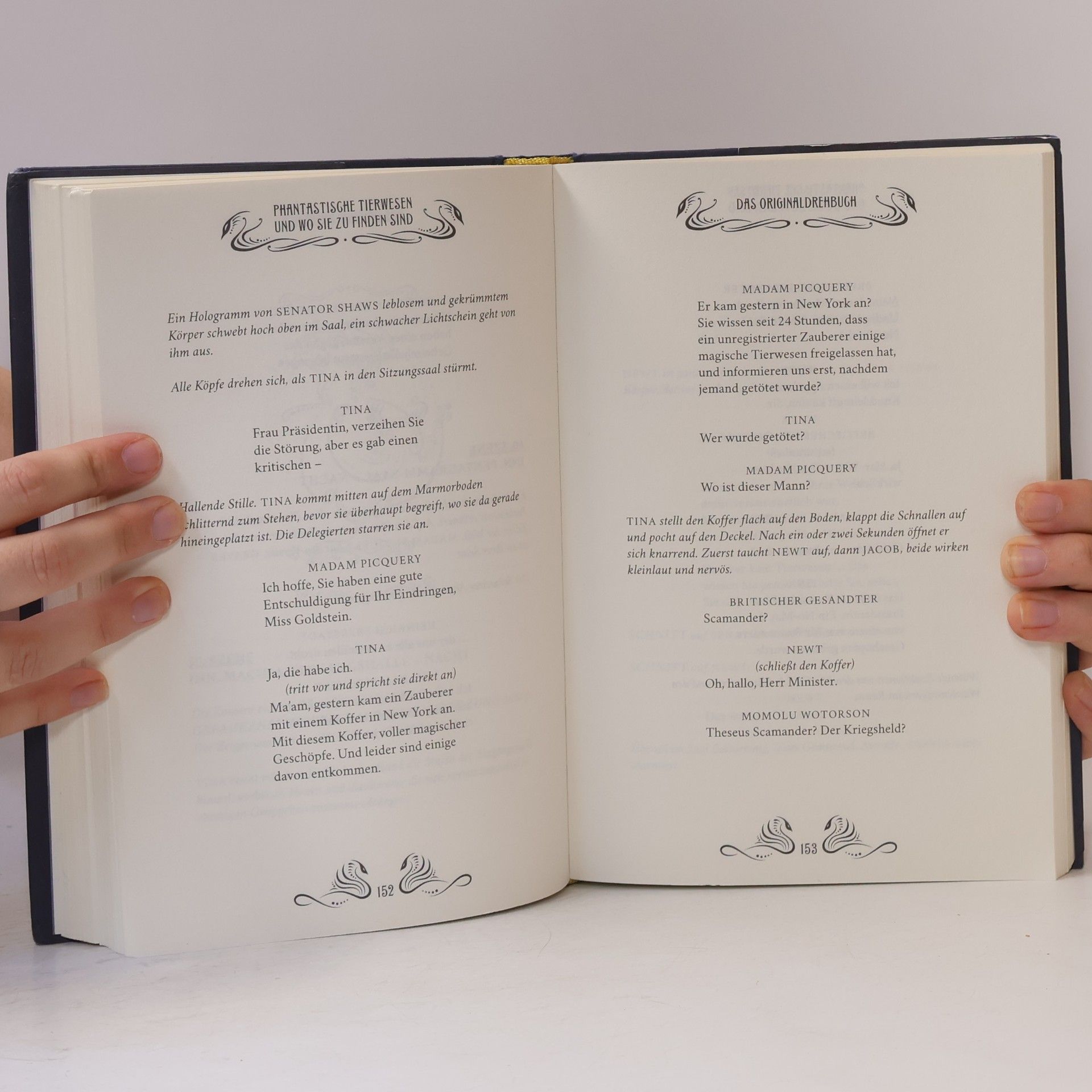 J. K. Rowling Phantastische Tierwesen und wo sie zu finden sind. Das Originaldrehbuch