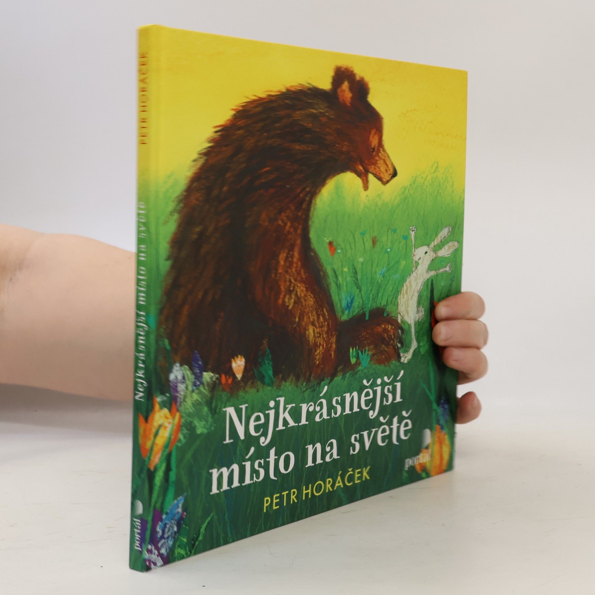 Horacek Petr Nejkrásnější místo na světě
