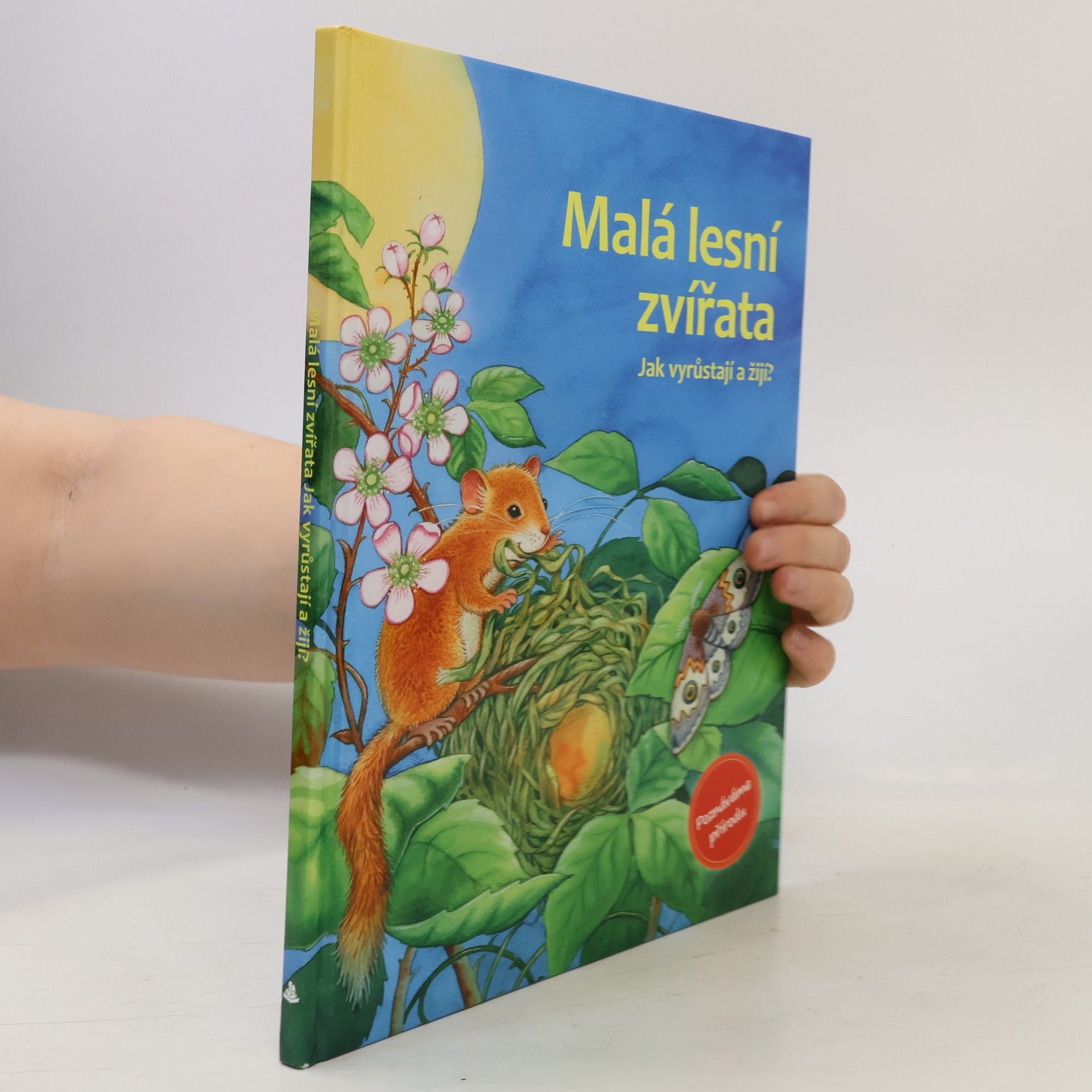 Friederun Reichenstetter Malá lesní zvířata : jak vyrůstají a žijí?