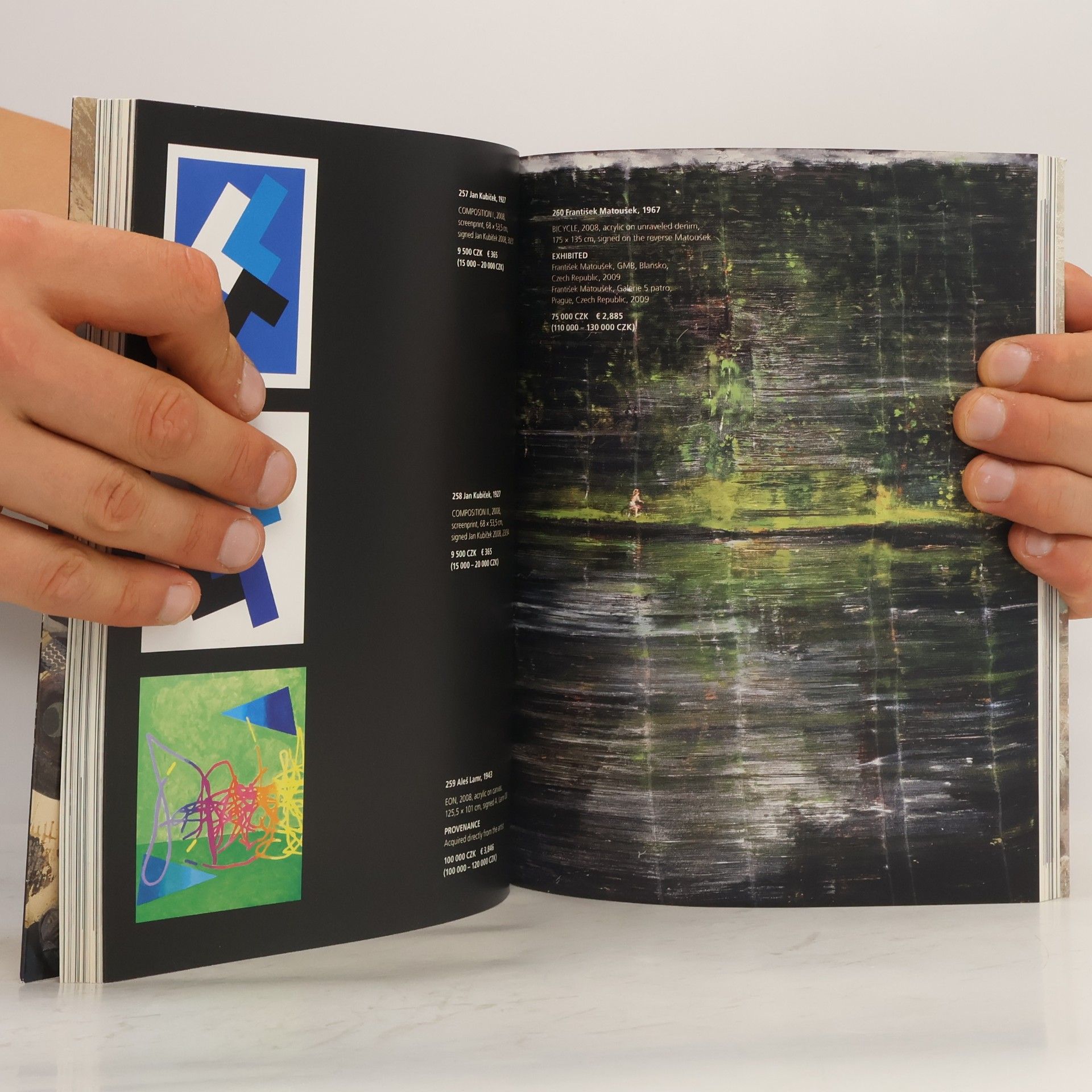 Kolektiv autorů Woxart. International Contemporary Art