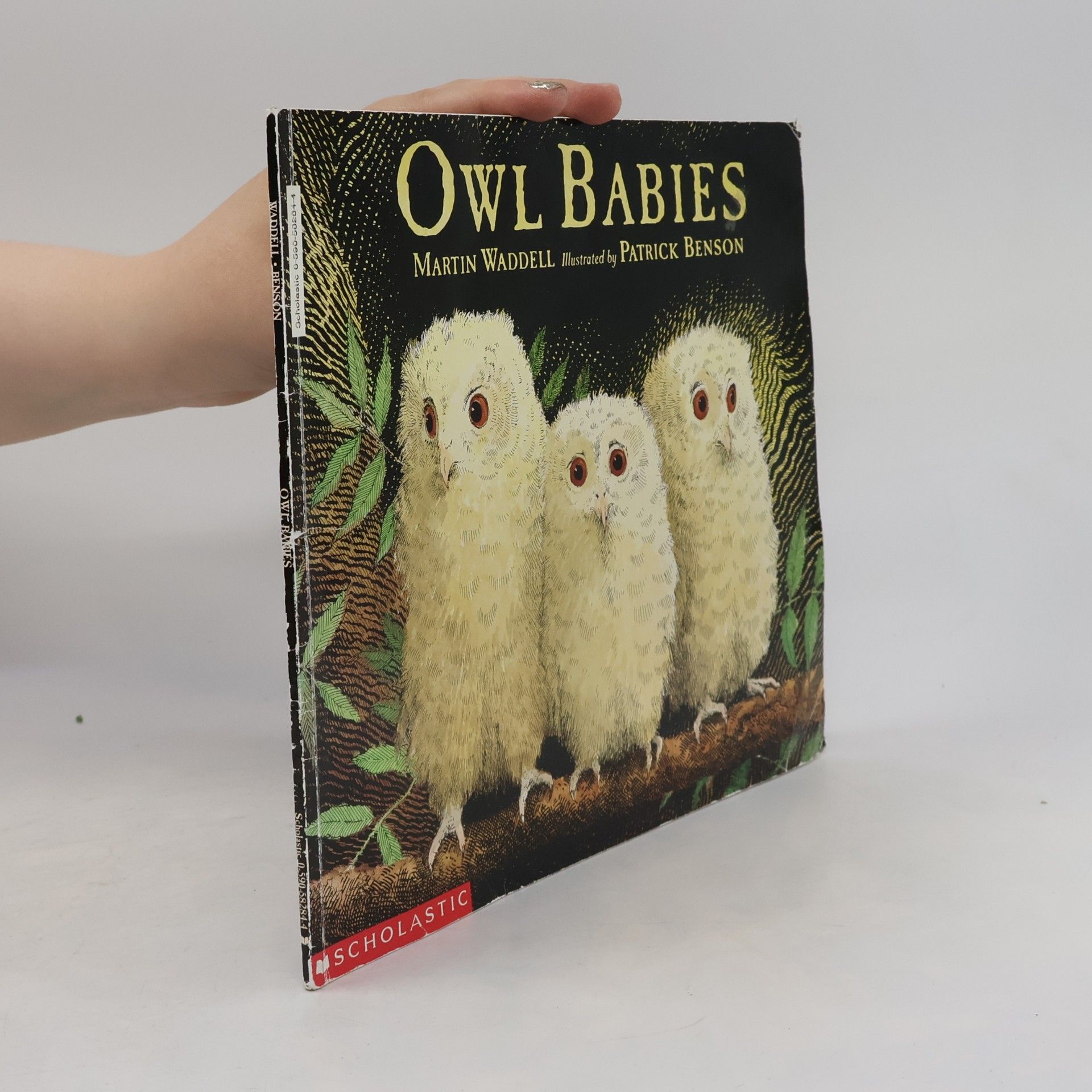 Patrick Benson Owl Babies