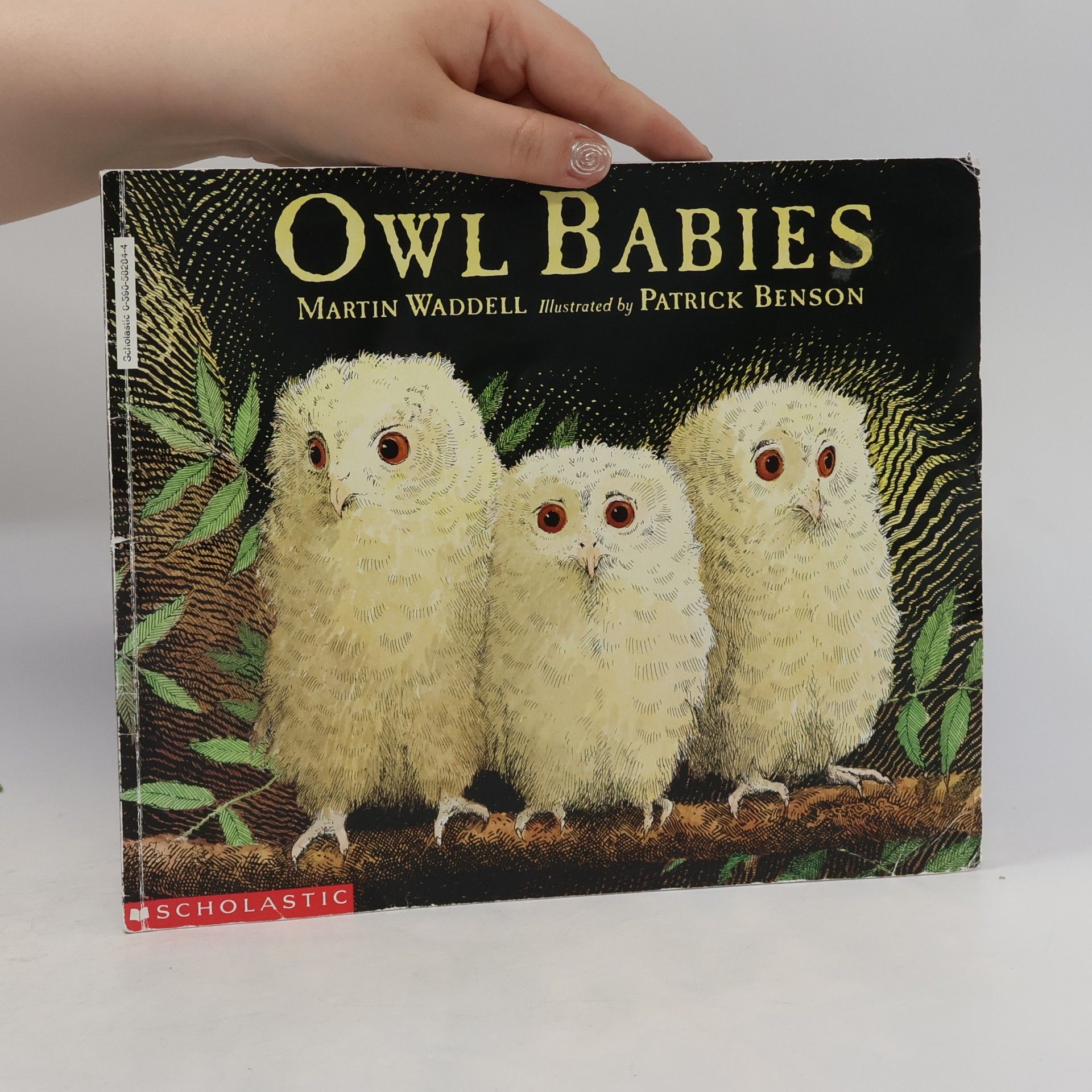 Martin Waddell Owl Babies