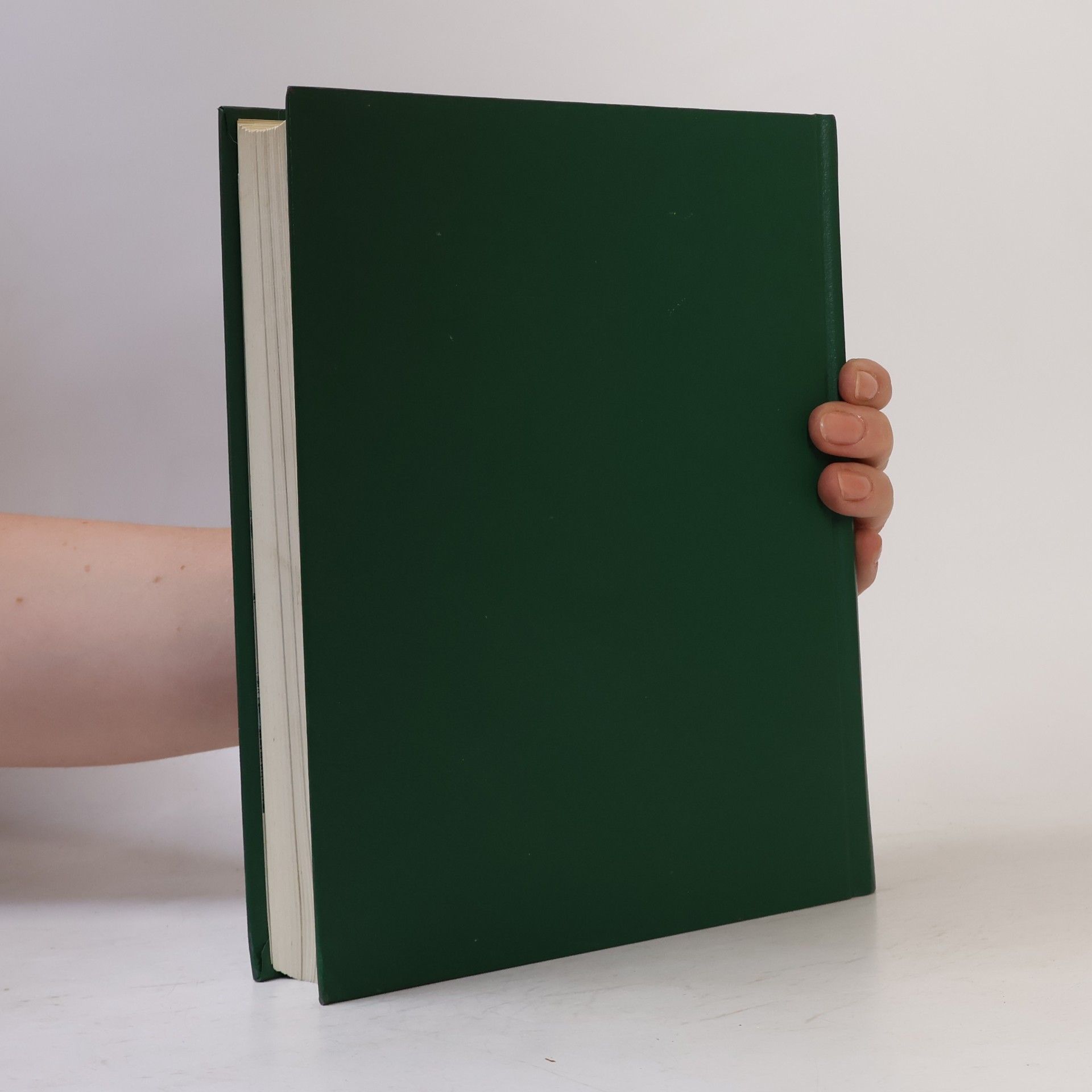 Autorenkollektiv Hlubší pochopení Písma. Sv. 2: N-Ž a index