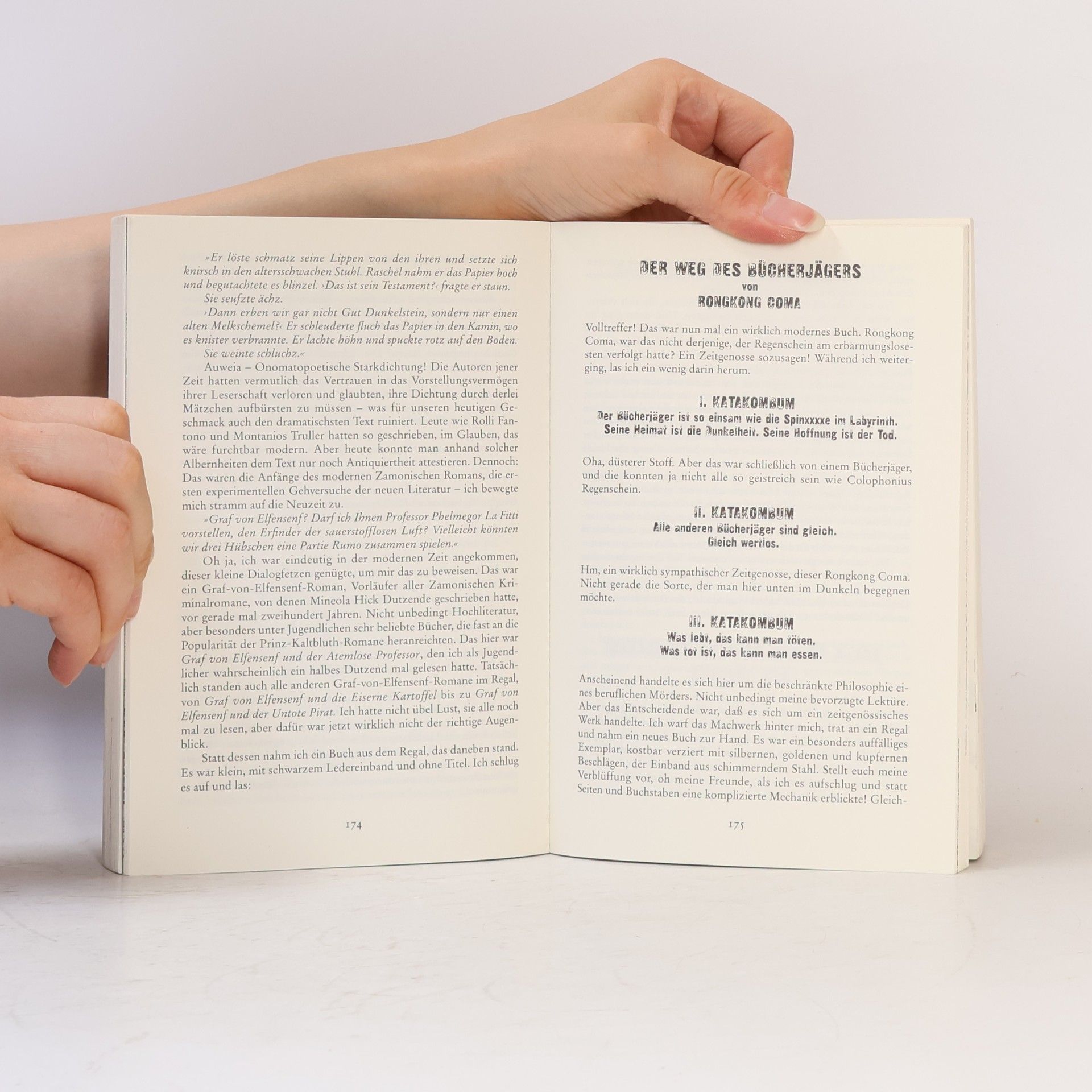 Walter Moers Die Stadt der Träumenden Bücher