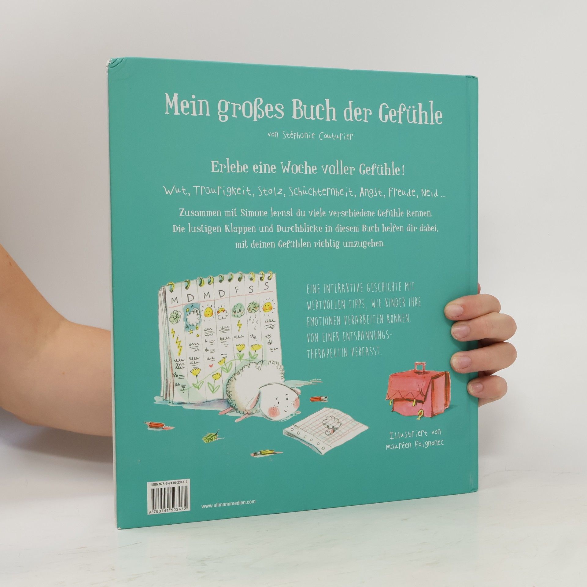 Stéphanie Couturier Mein großes Buch der Gefühle