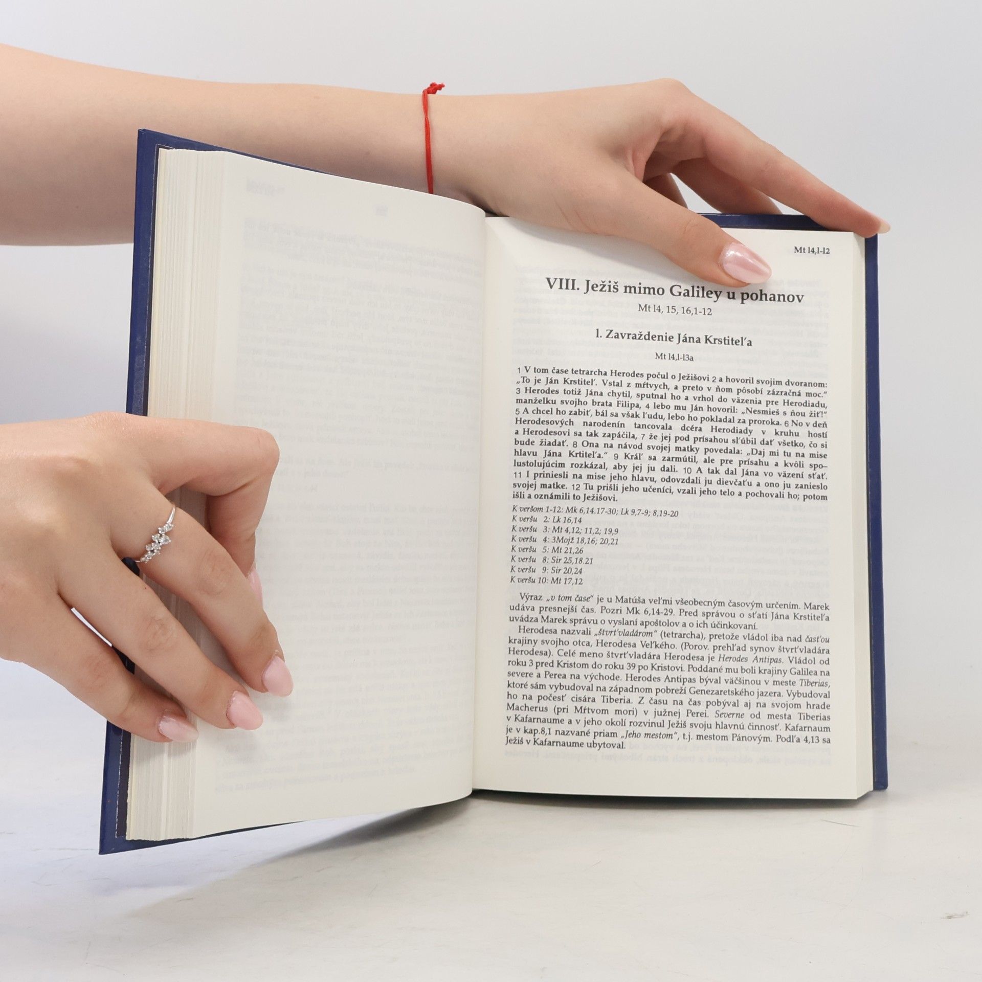 Fritz Rienecker Evanielium podľa Matúša