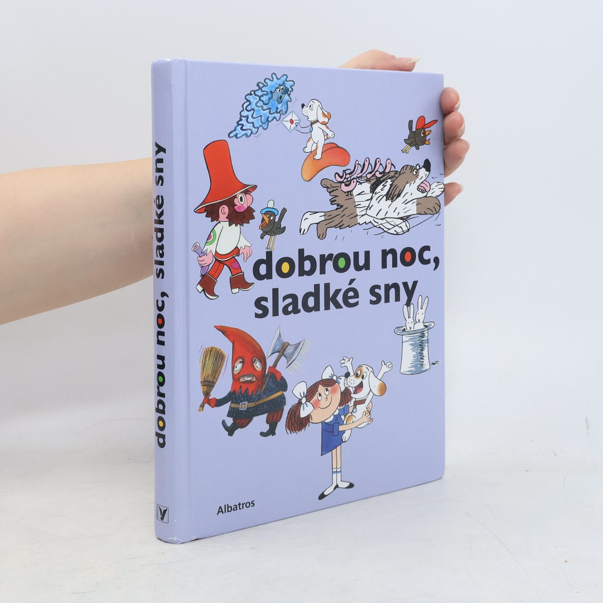 Kolektiv autorů Dobrou noc, sladké sny