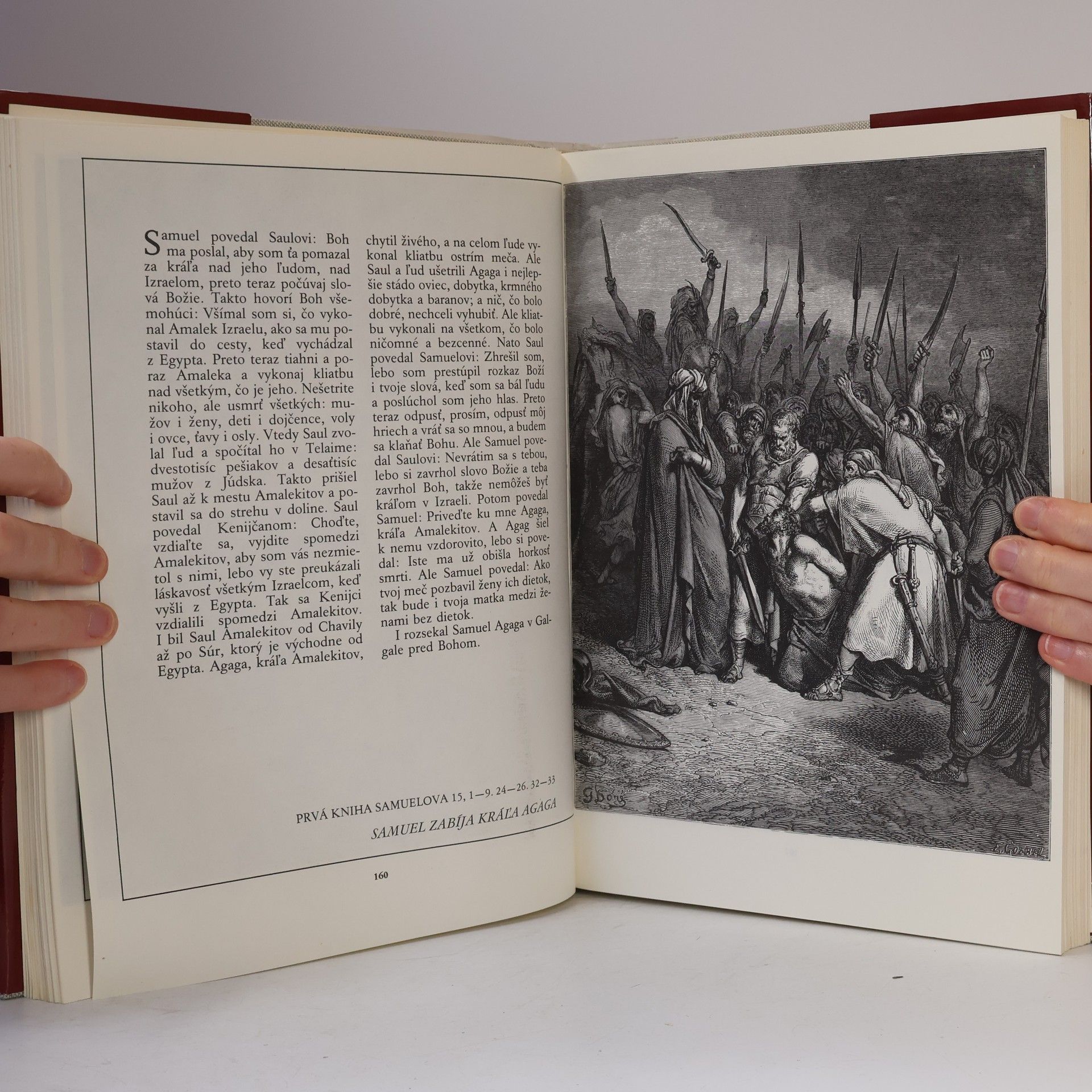 Jan Plesník Gustave Doré. Biblia