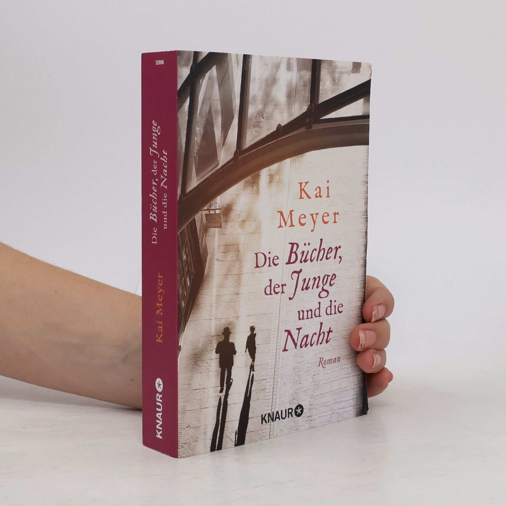 Kai Meyer Die Bücher, der Junge und die Nacht
