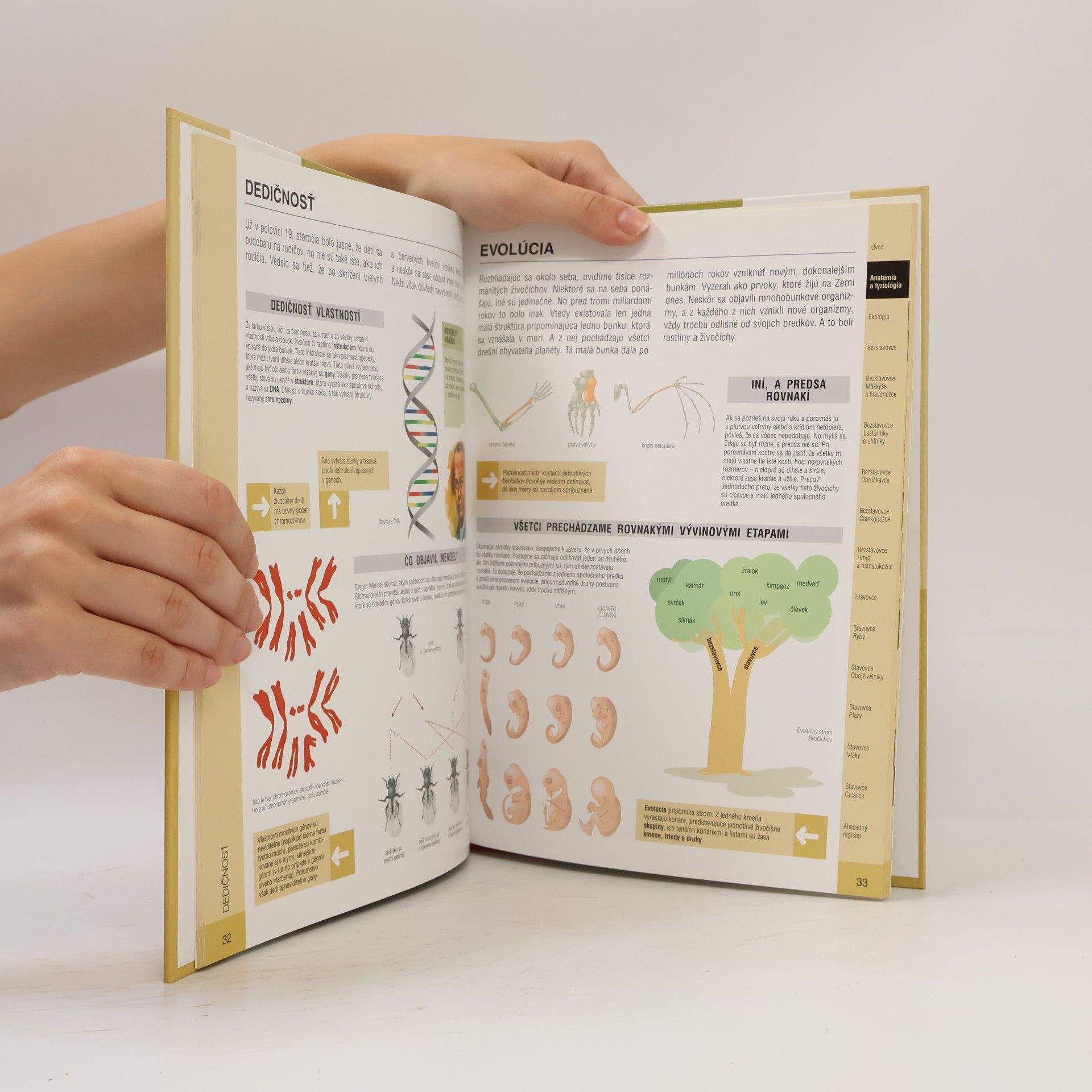 Autores varios Atlas zoologie