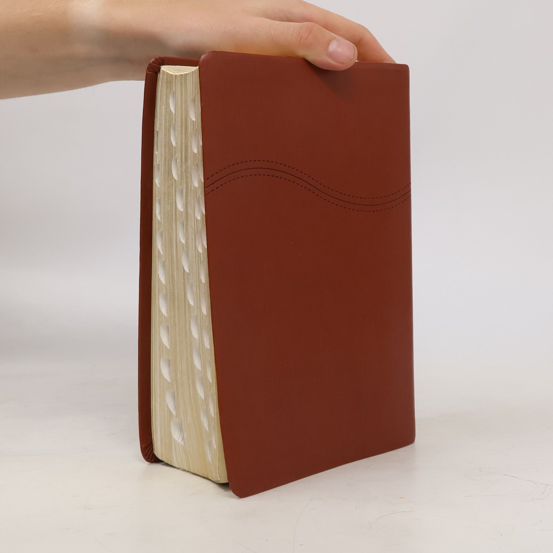 Various authors 圣经 Holy Bible