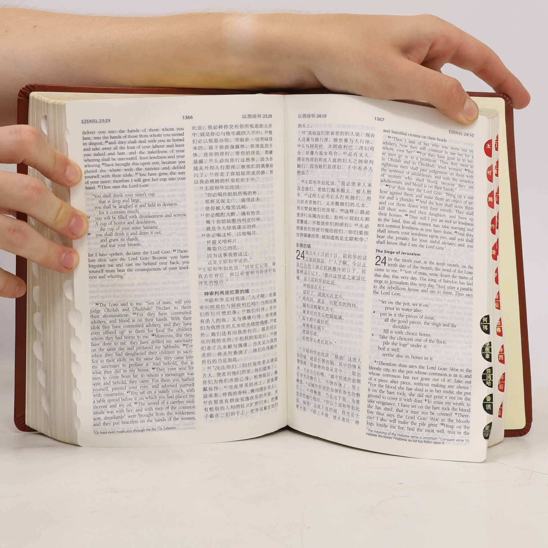 Various authors 圣经 Holy Bible