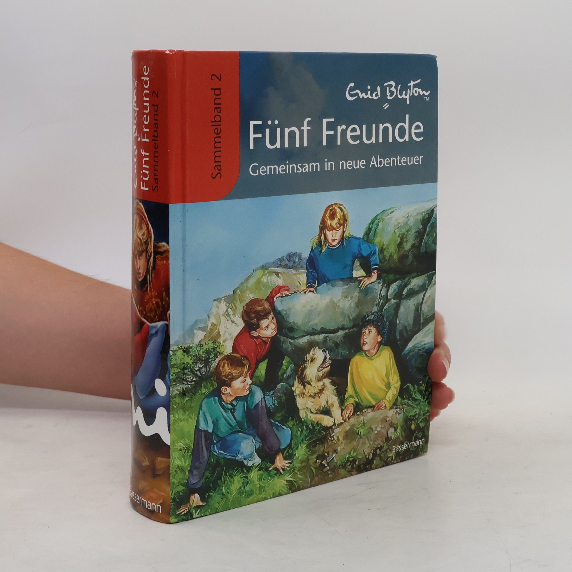 Werner Lincke Fünf Freunde