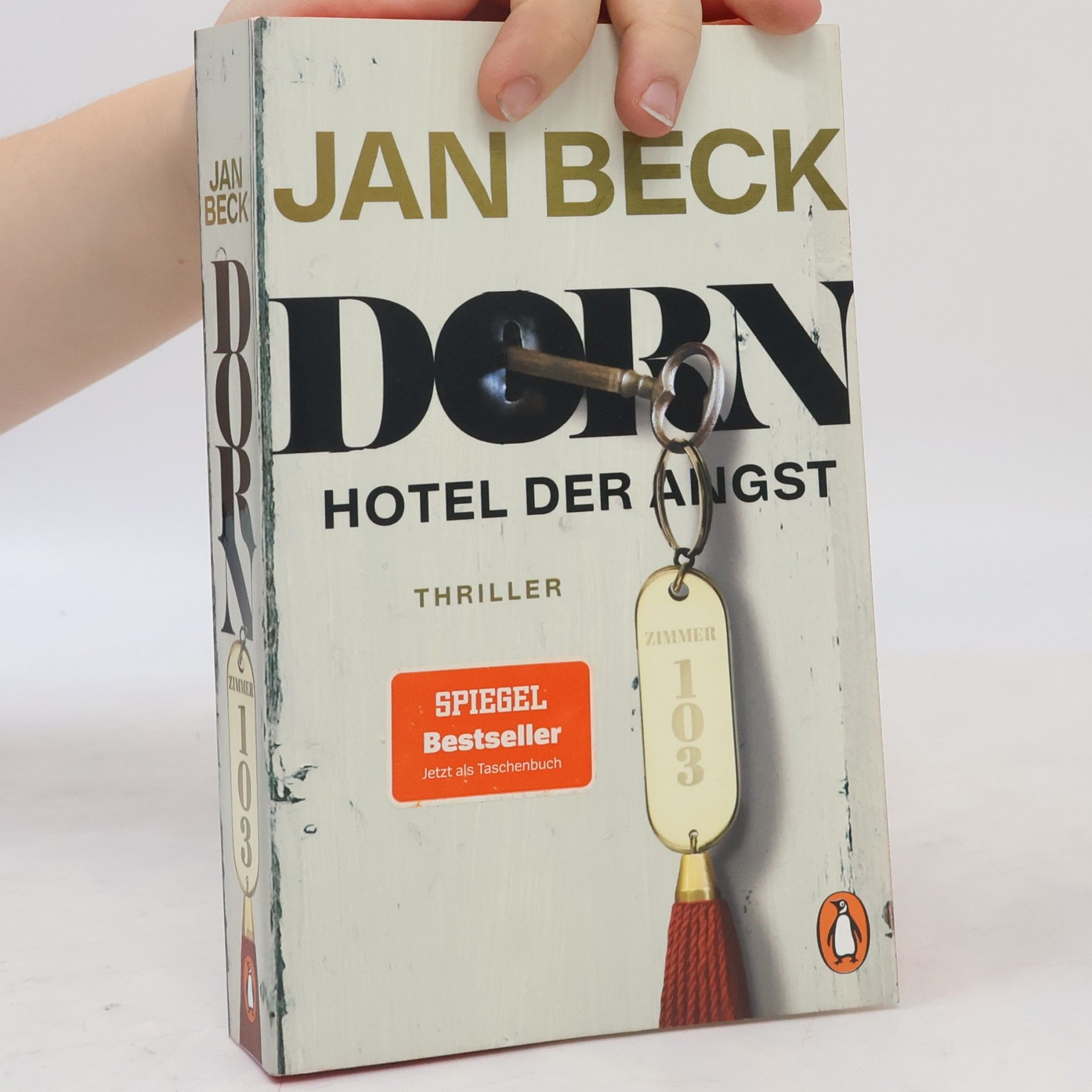 Jan Beck Dorn