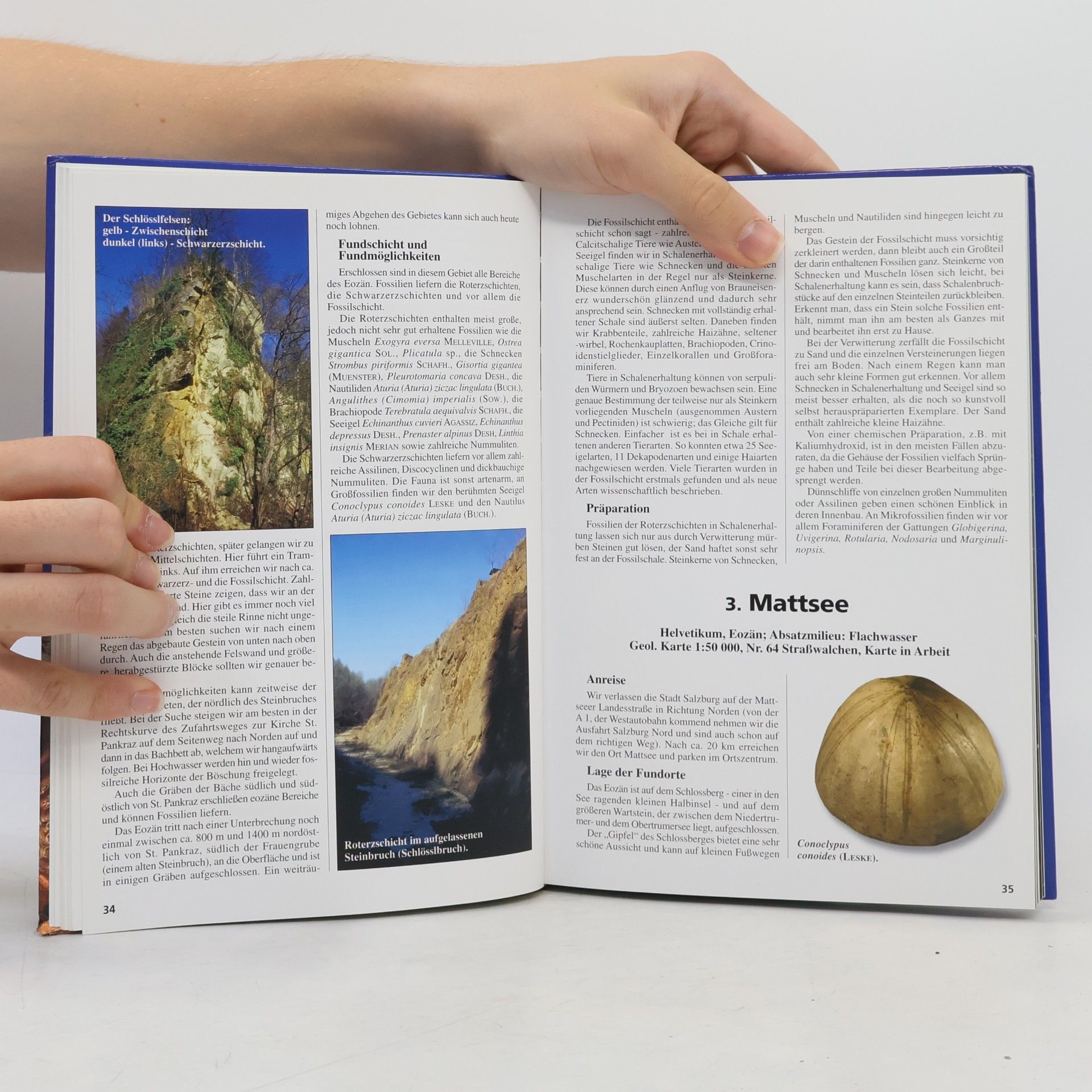 Gero Moosleitner Fossilien sammeln im Salzburger Land