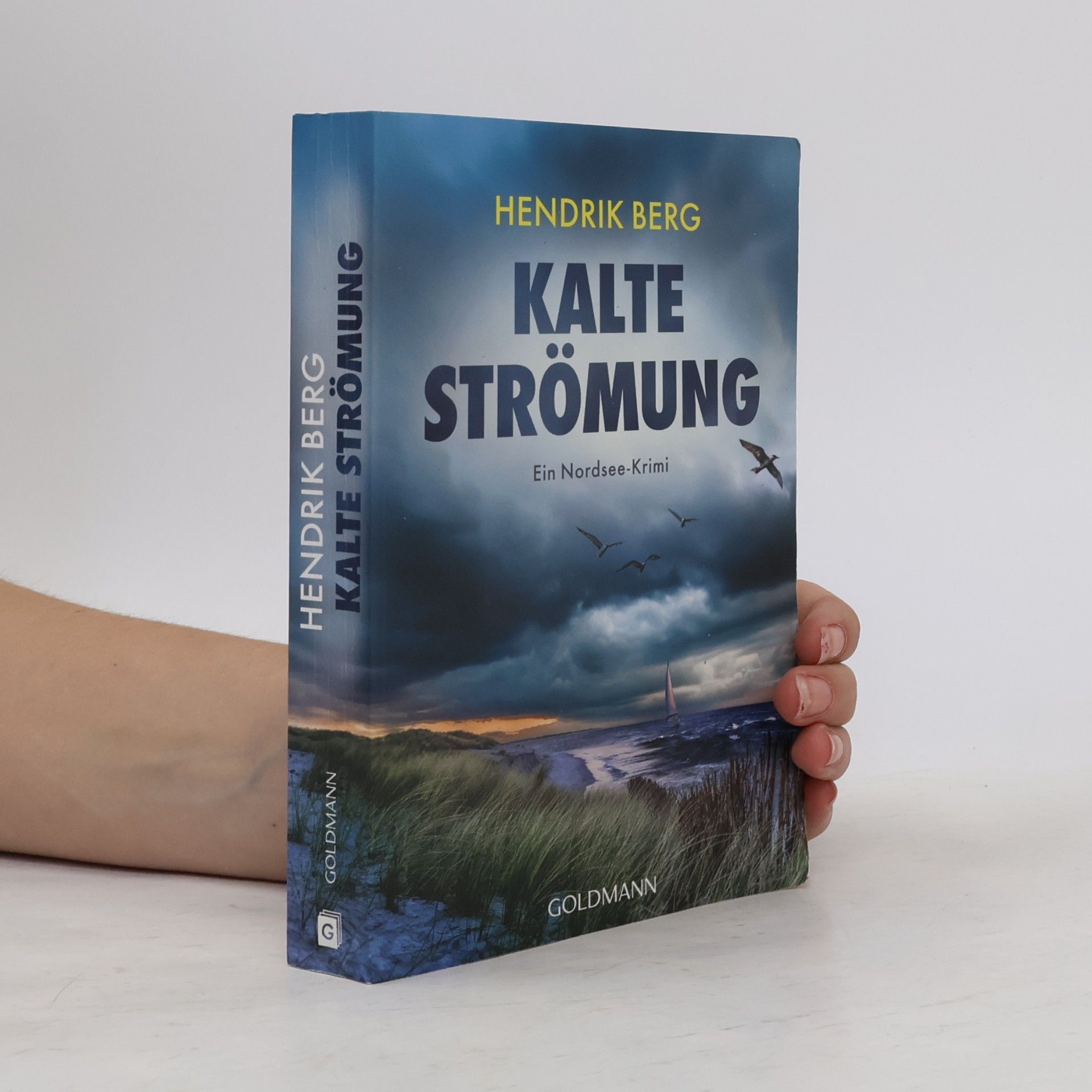 Hendrik Berg Kalte Strömung