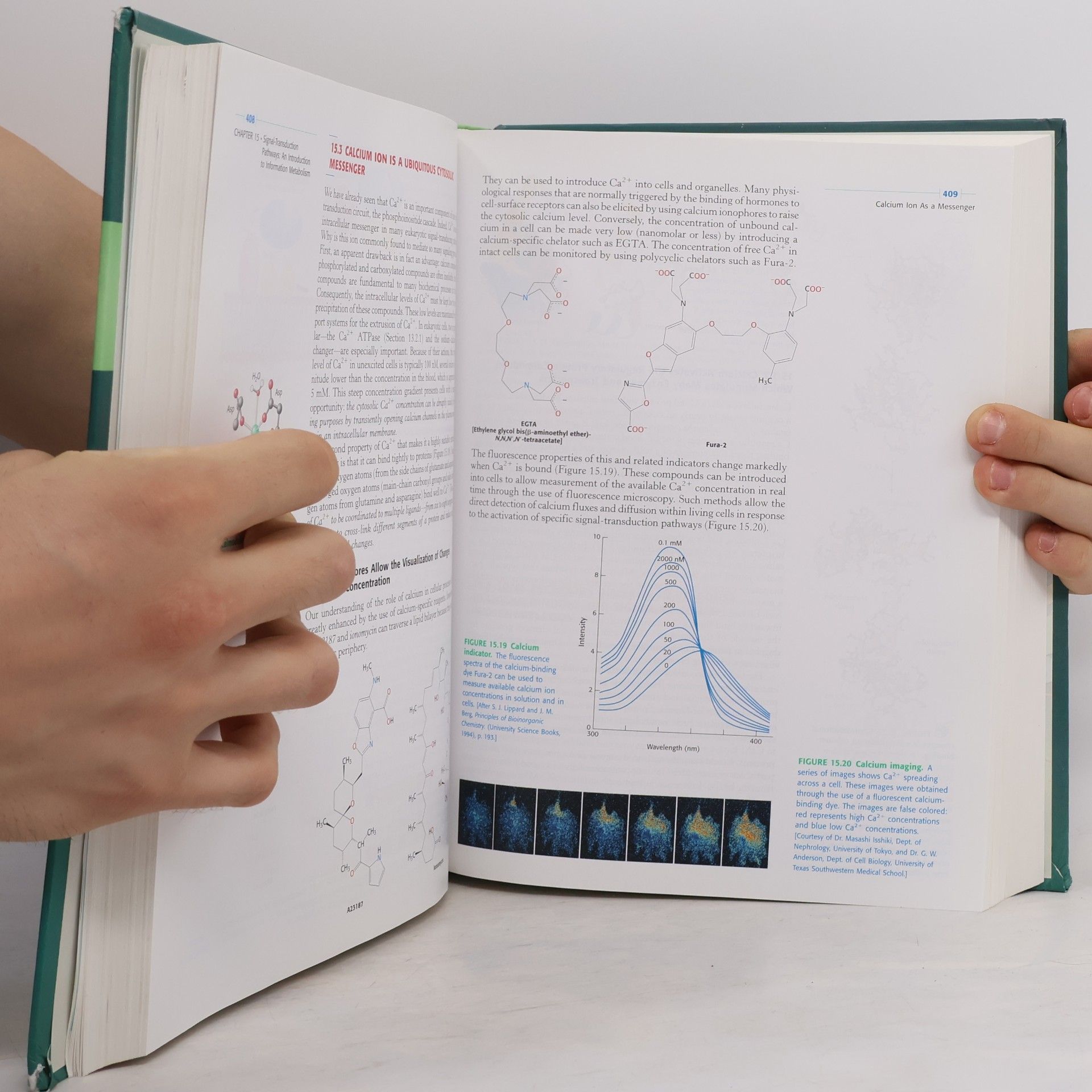Jeremy M. Berg Biochemistry 2001