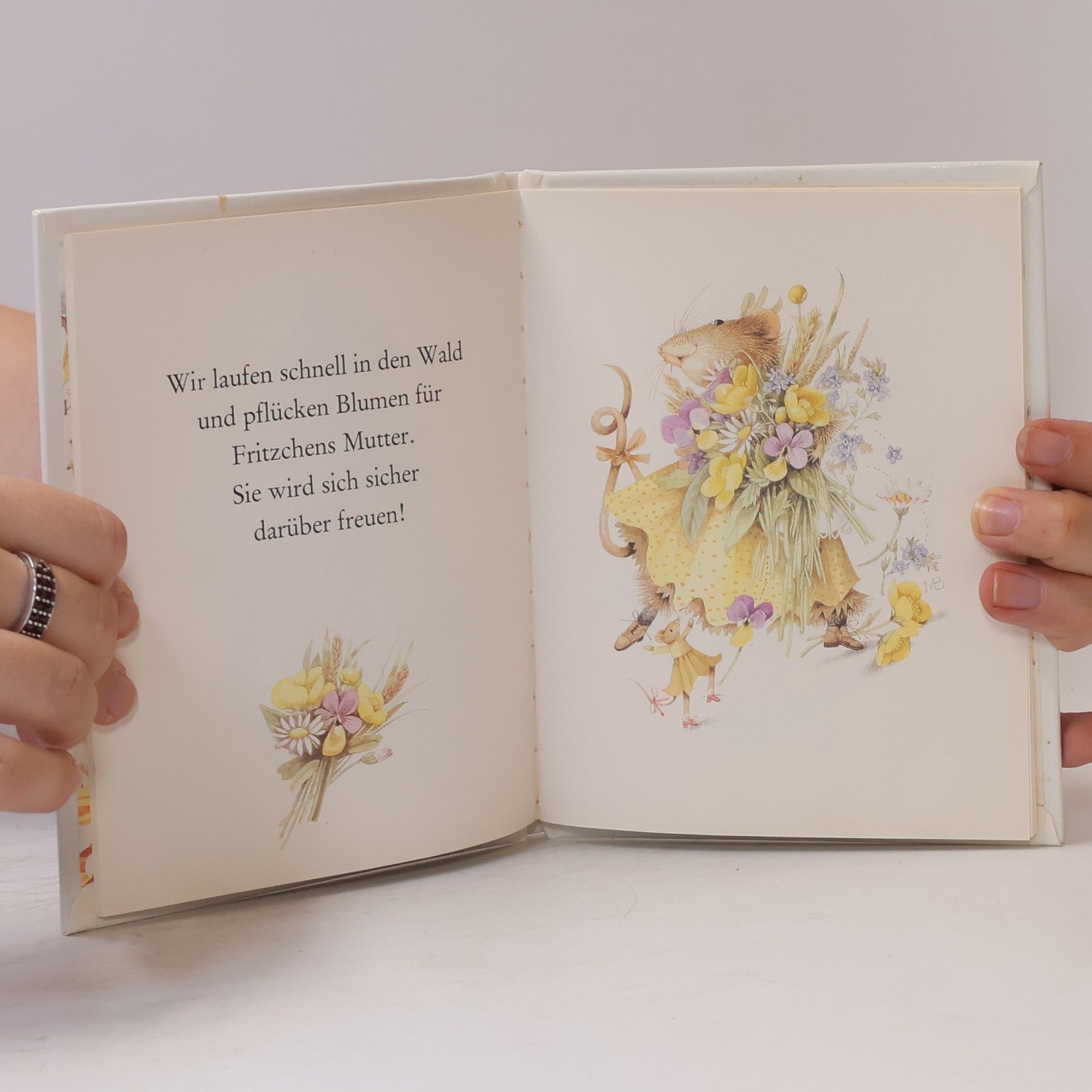 Marjolein Bastin Vera, die Maus: Mein Fest