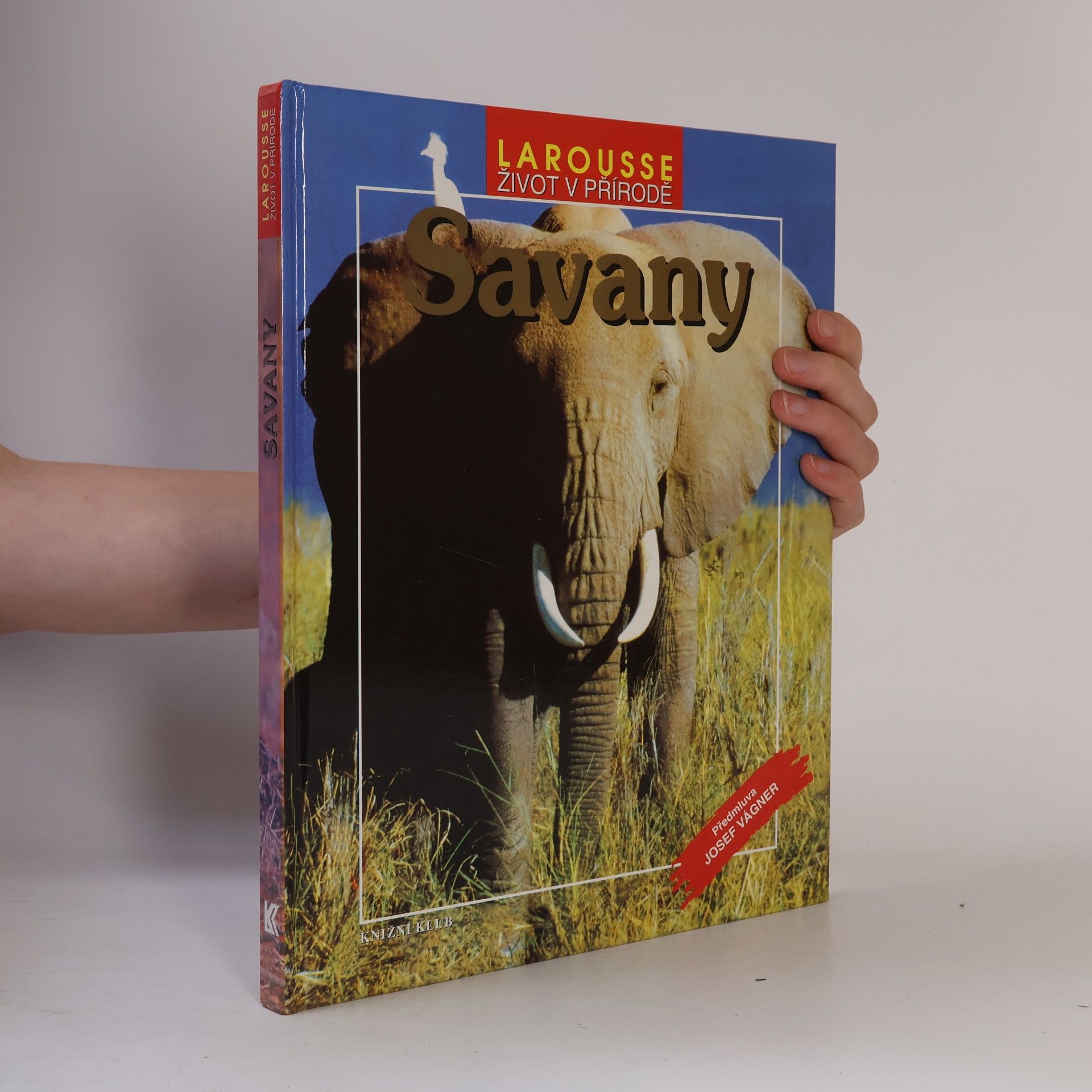 AA.VV. Savany