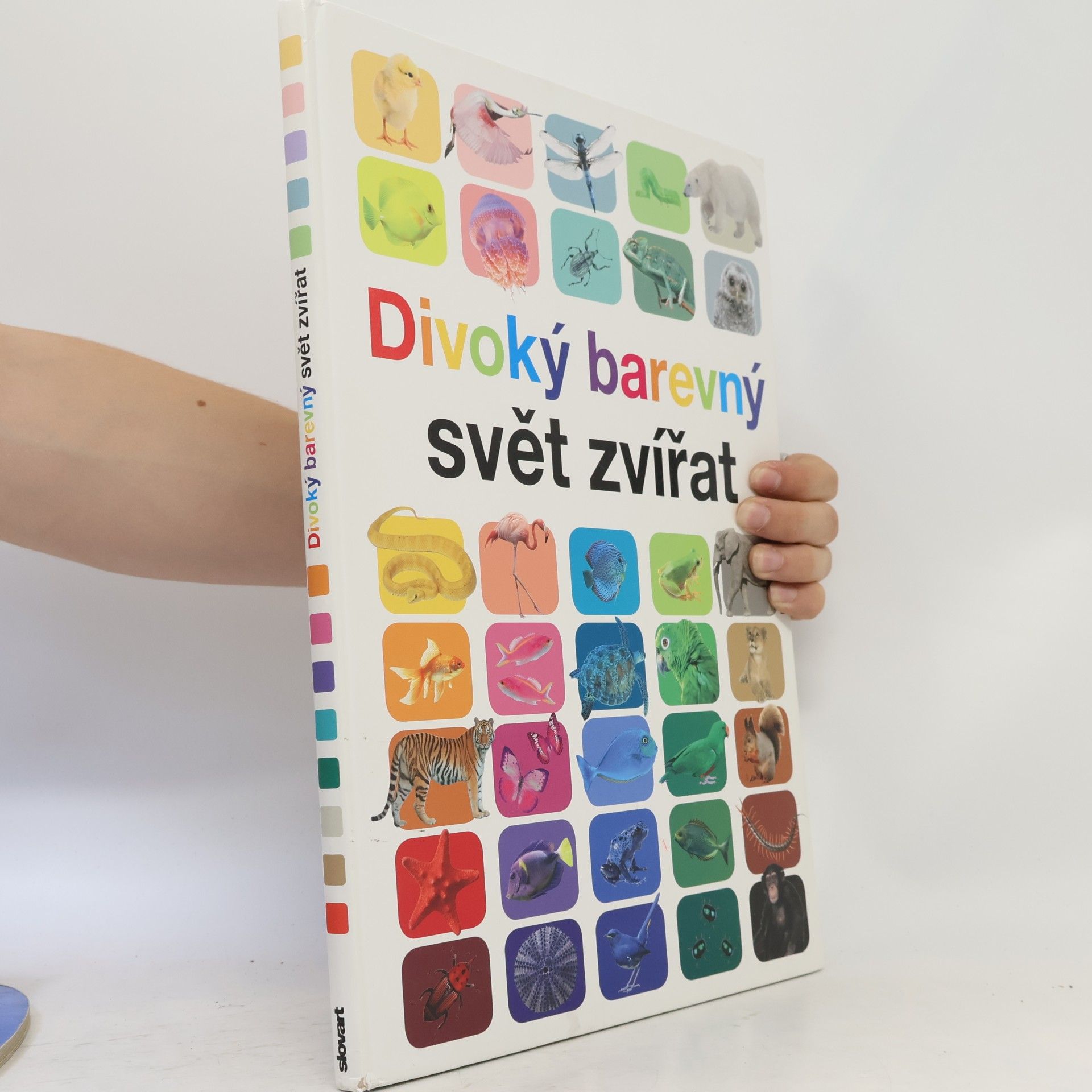 Anita Ganeri Divoký barevný svět zvířat