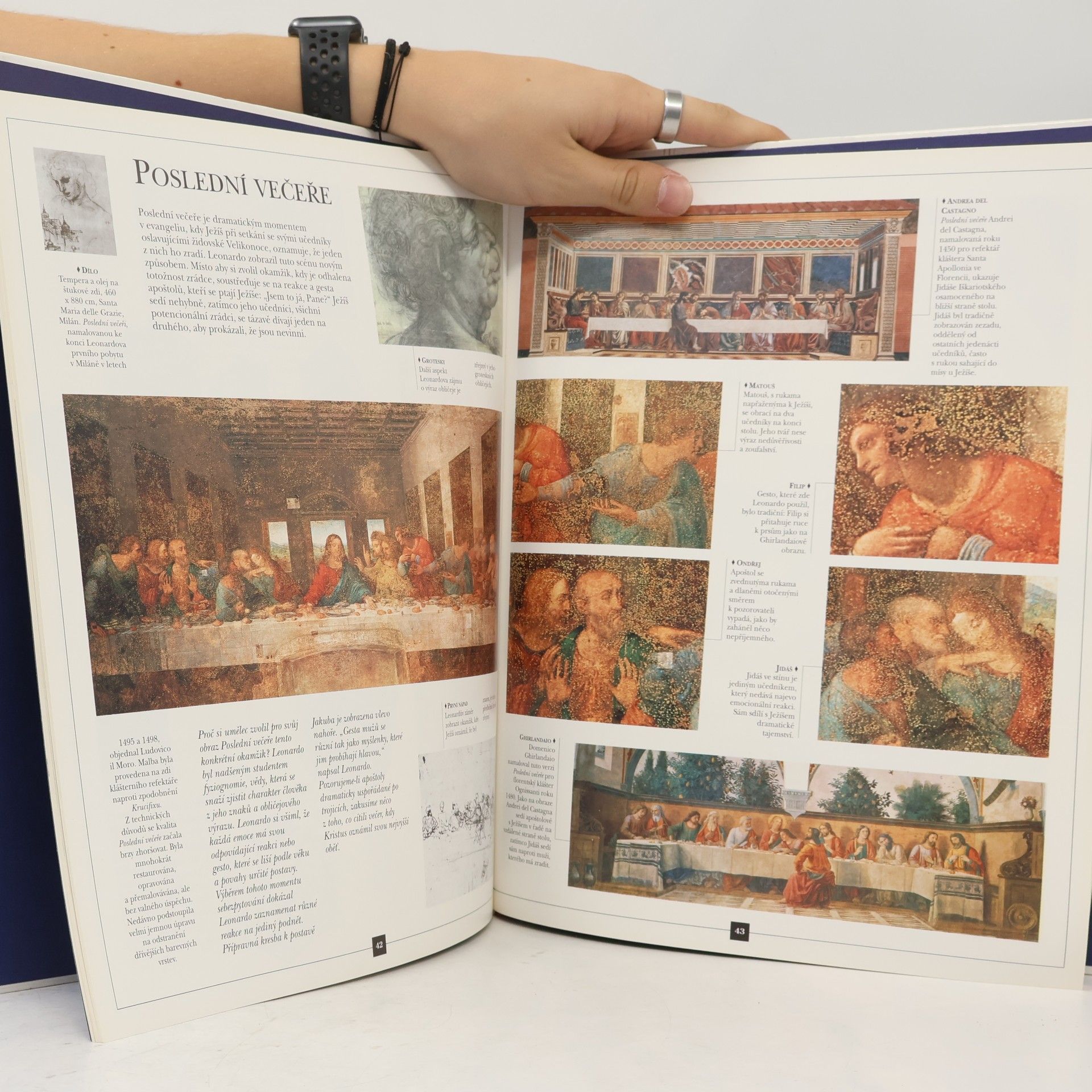 Francesca Romei Leonardo da Vinci : Renesanční umělec, vynálezce a vědec