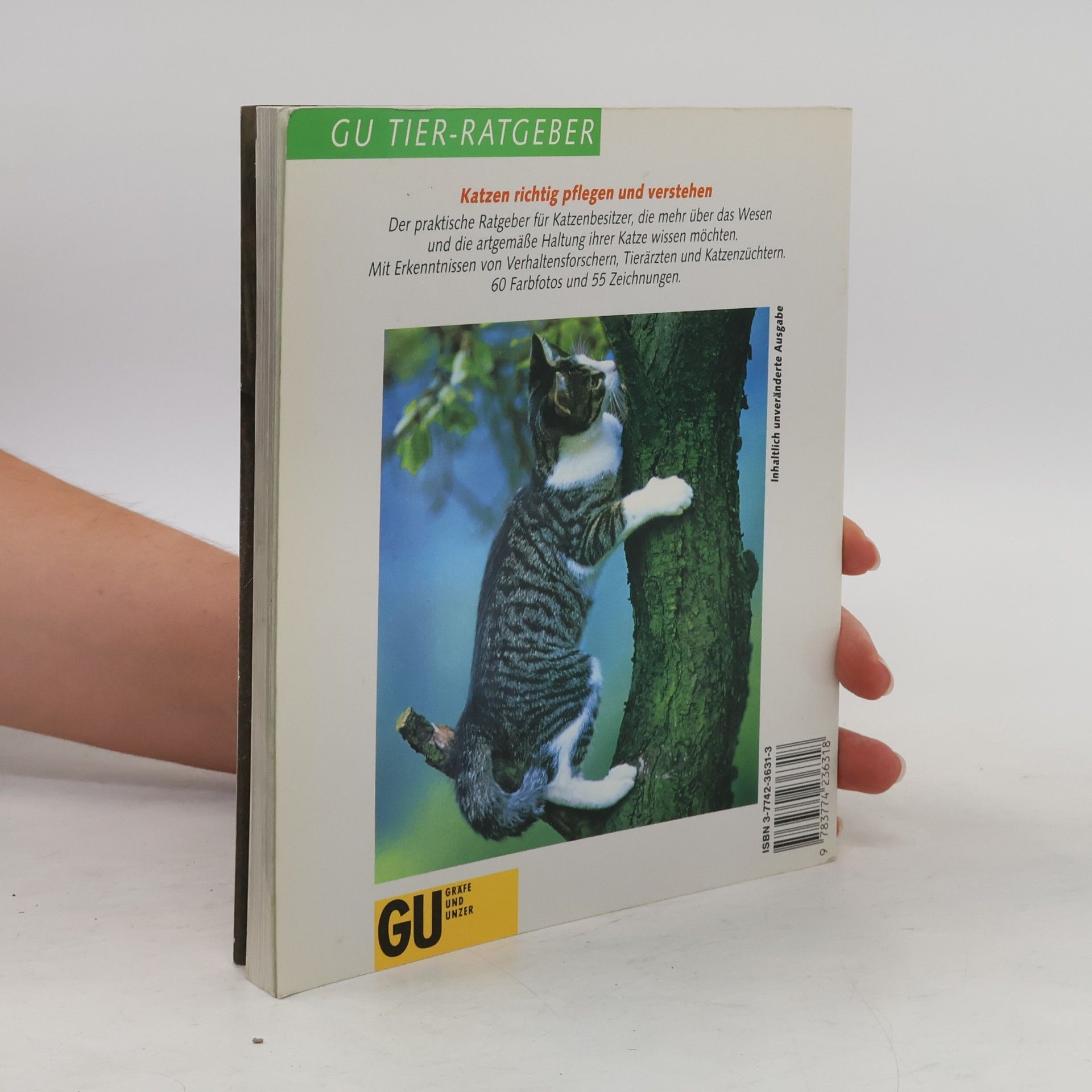 Ulrike Müller Das neue Katzenbuch