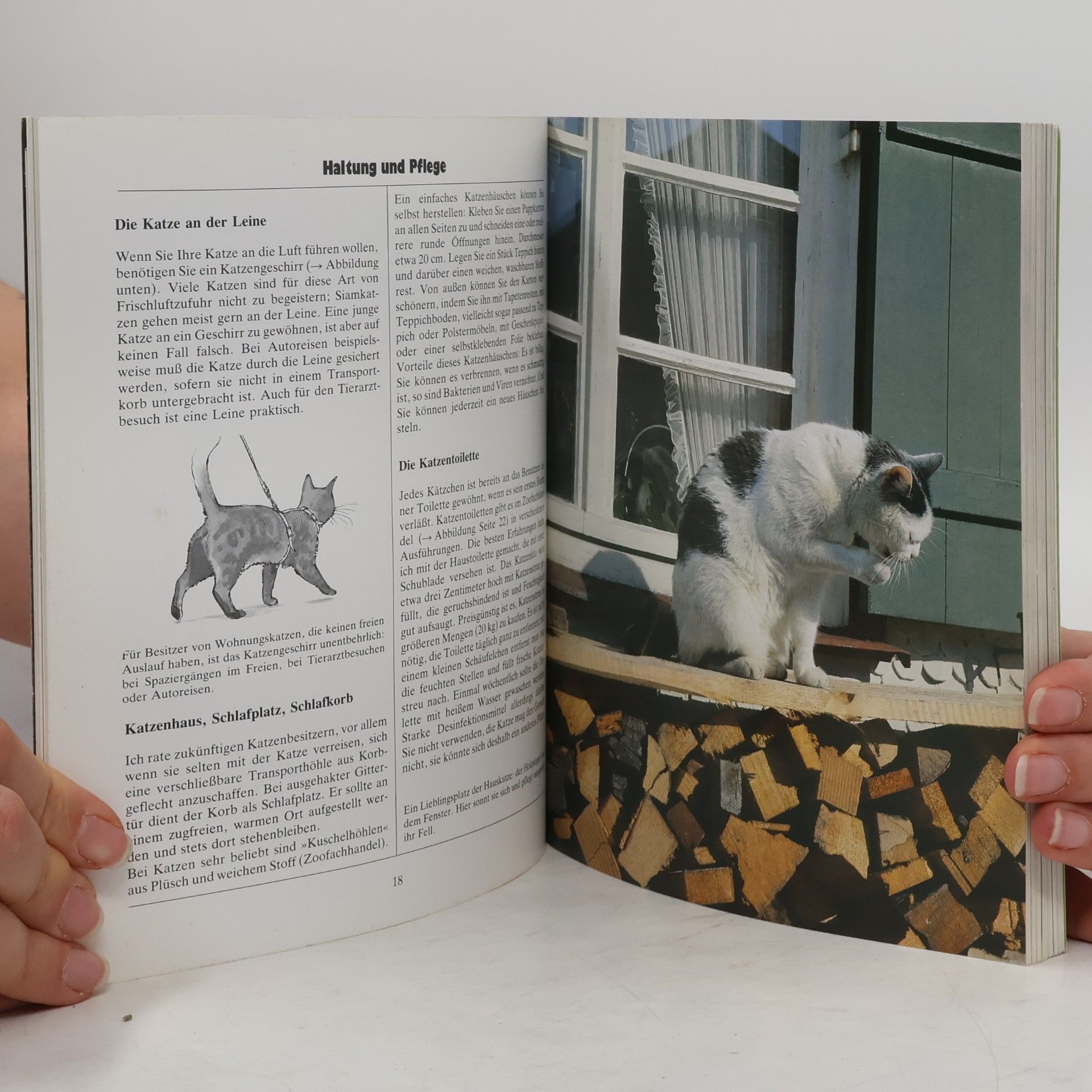 Ulrike Müller Das neue Katzenbuch