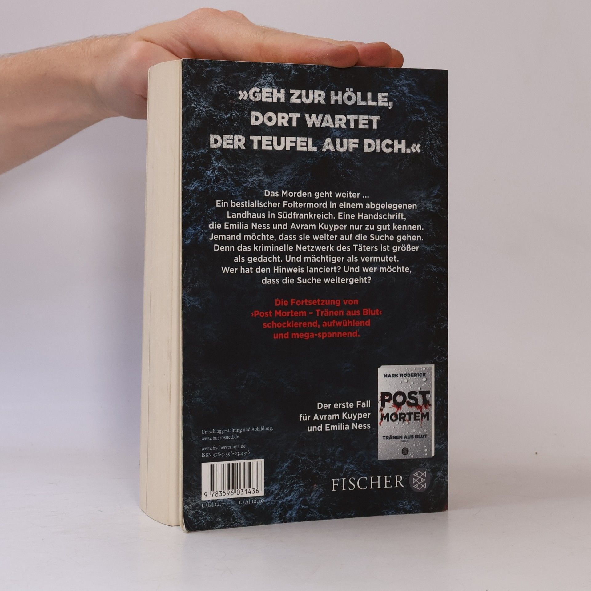 Mark Roderick Post mortem - Zeit der Asche