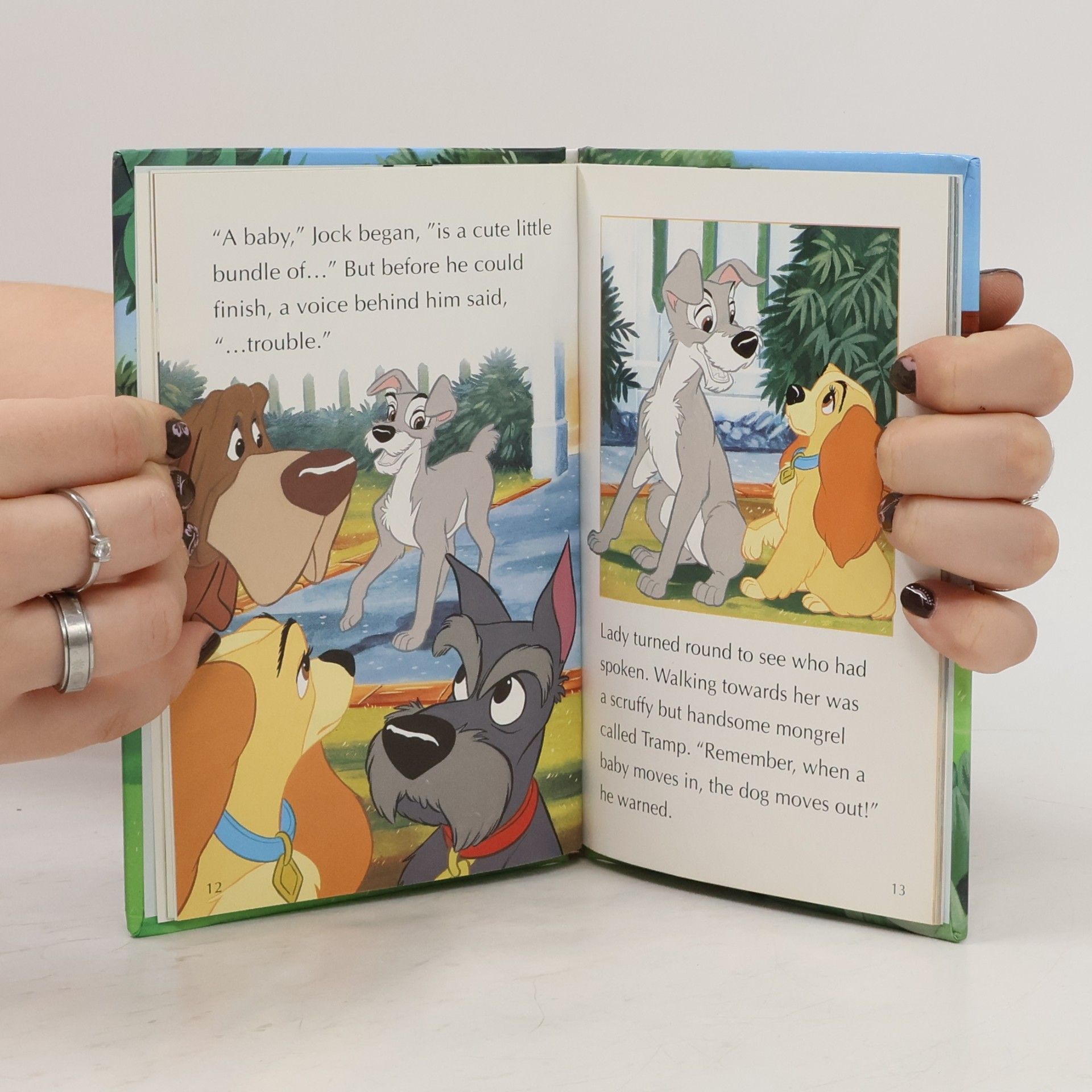 Walt Disney Lady and the Tramp