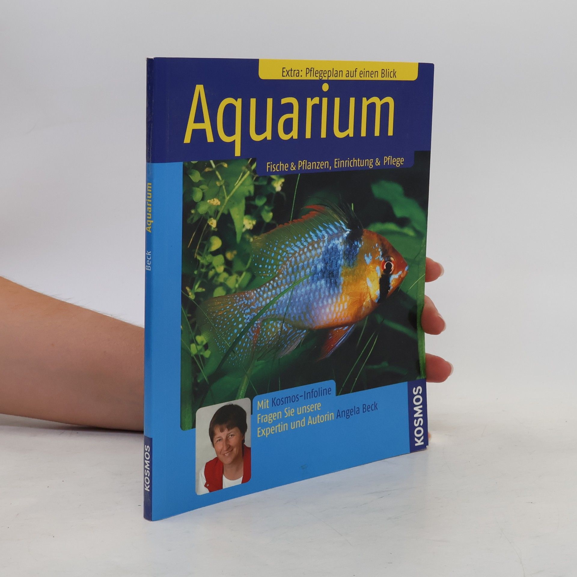 Angela Beck Aquarium