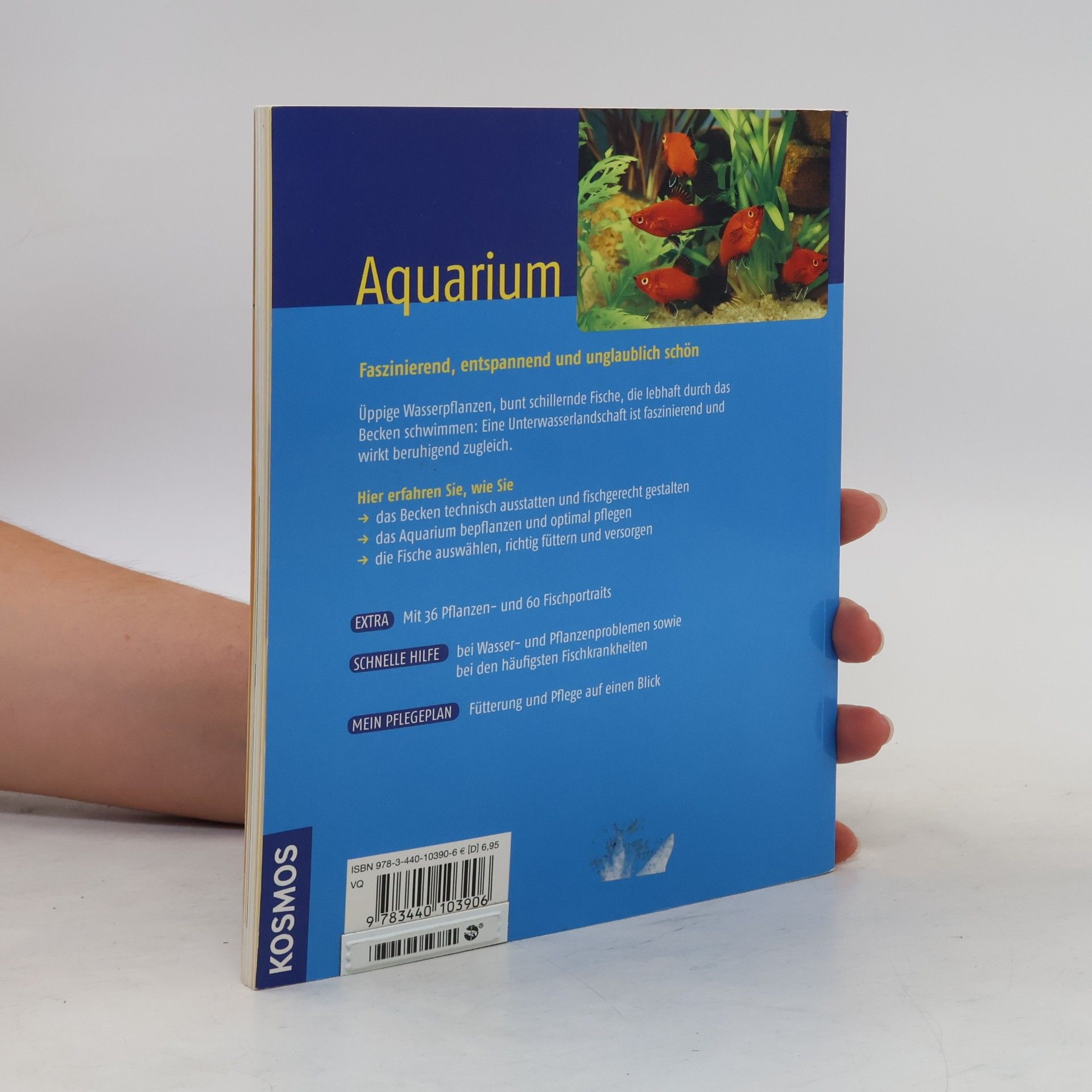 Angela Beck Aquarium