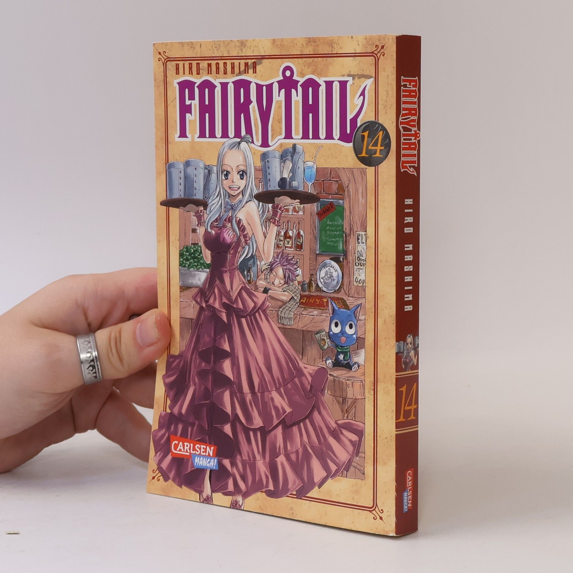 Hiro M. Fairy Tail 14