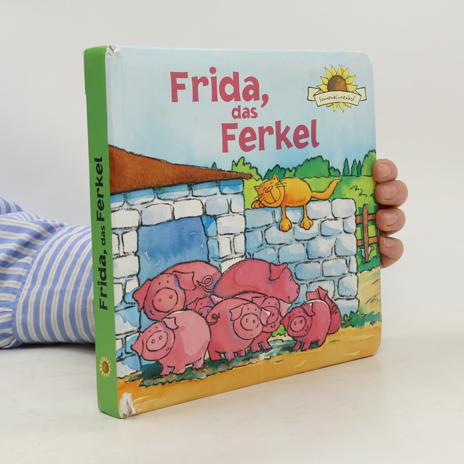 Collectif d'auteurs Frida, das Ferkel