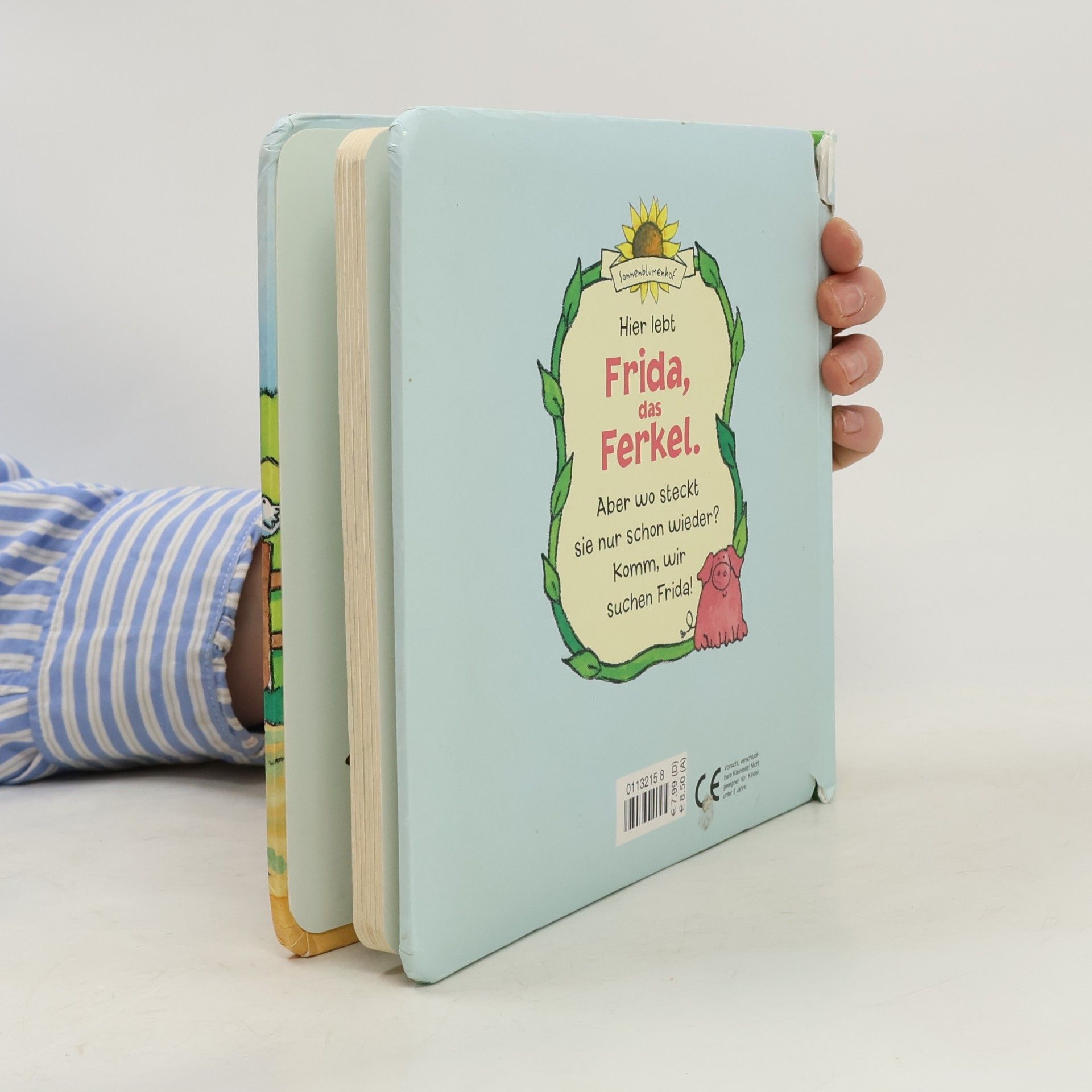 Collectif d'auteurs Frida, das Ferkel